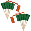 ZXvZYT Toothpick flag Ireland