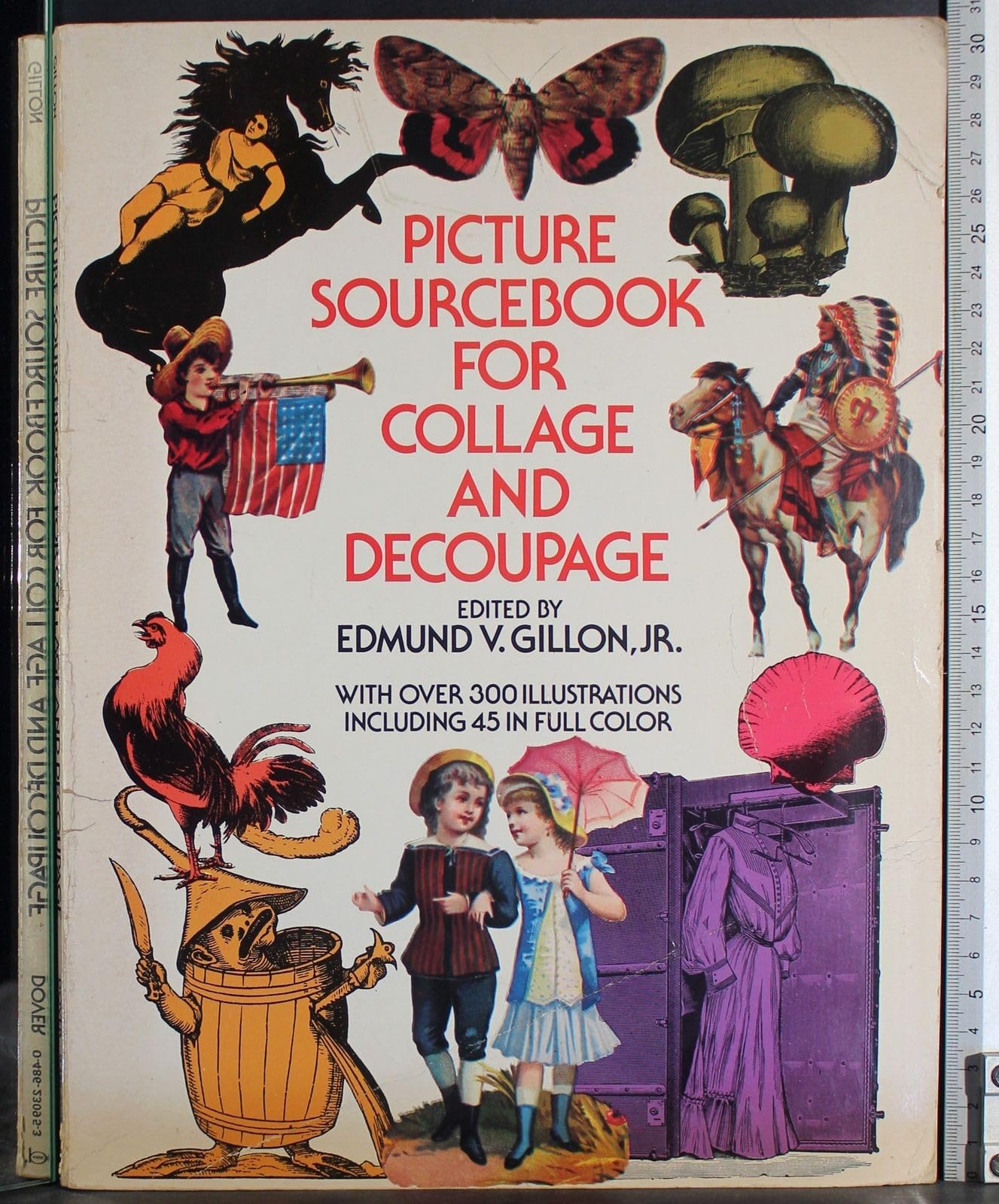 Buy Picture Sourcebook for Collage and Decoupage — BookShops.in