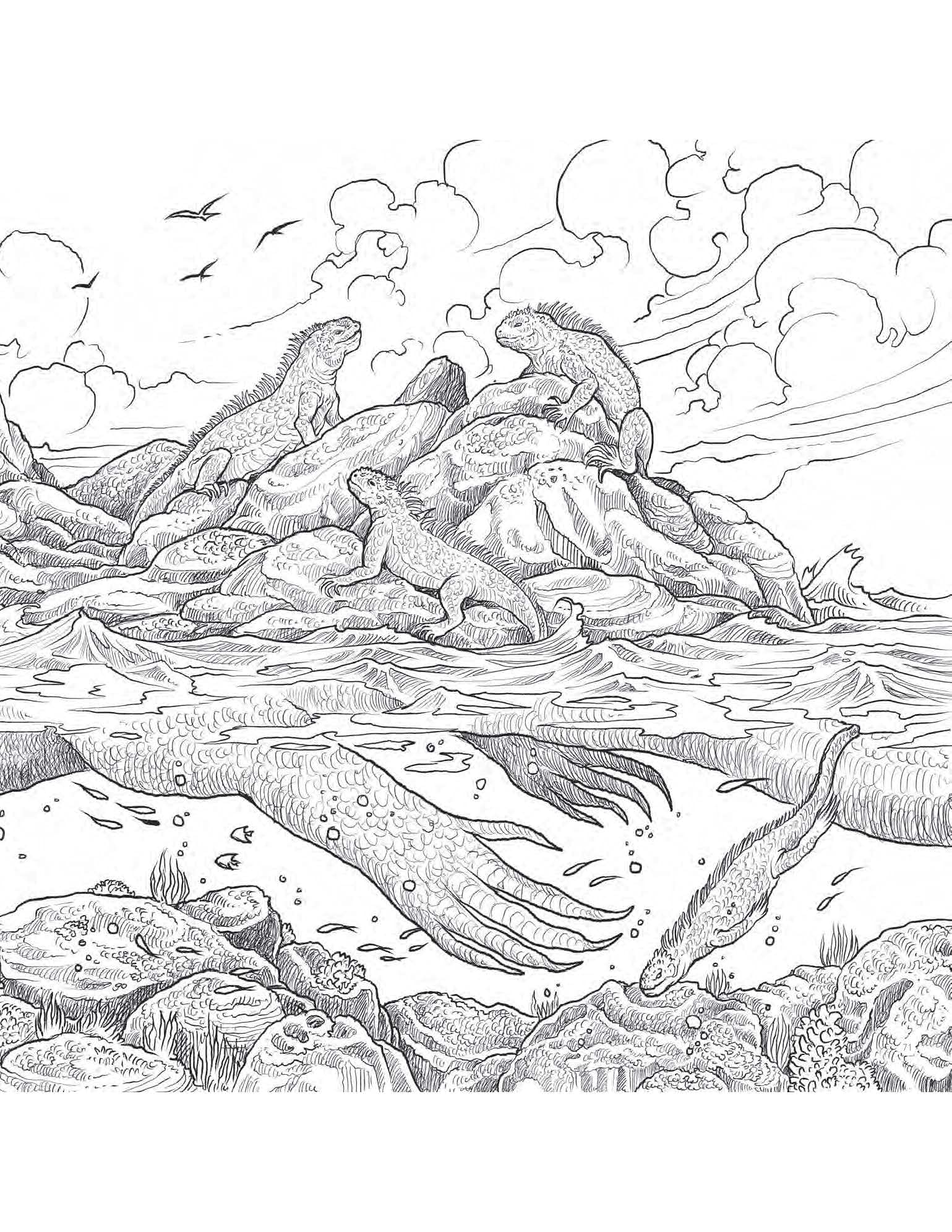 Thumbnail 11