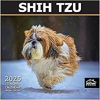 Vista 100 de MICASA PRESS Corgi Butts - Calendario de pared 2026 de 12 meses 12 x 24 pulgadas abierto Papel grueso y resistente Regalo de vacaciones