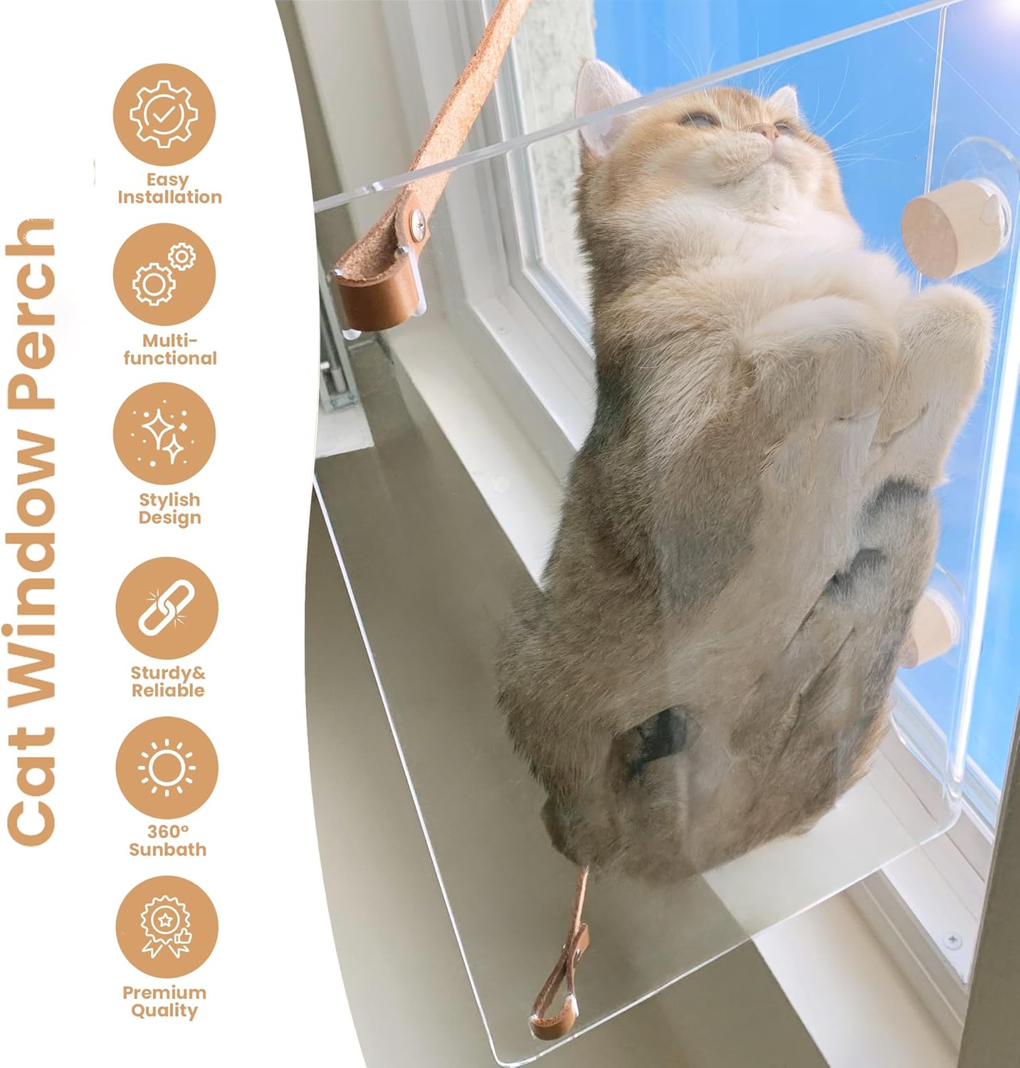 review Clear Acrylic Cat Window Perch - Modern Style with Wood & Leather Straps | for Large Indoor Cats & Kittens| Washable & Easy-Cleaning Cat Bed & Hammock | Cat Funiture, Accessories & Gifts