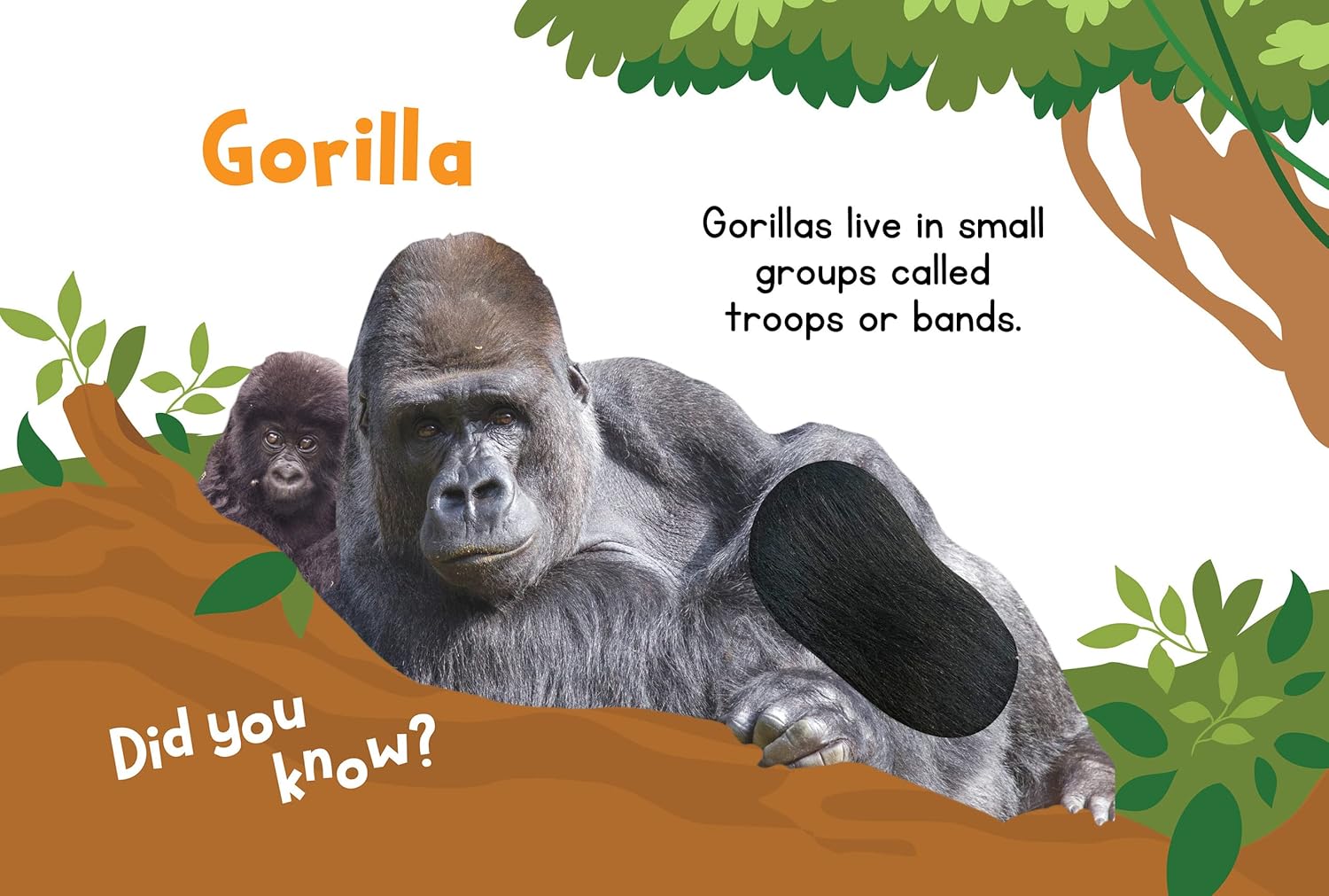 Jungle Animals - Children's Touch and Feel Board Book - Sensory Board Book - Image 4