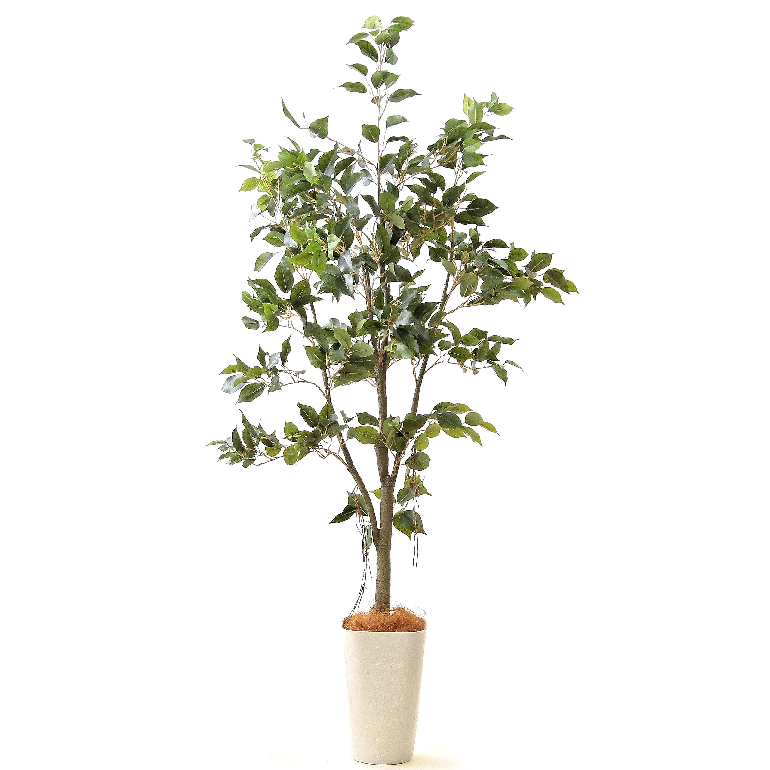 光触媒 観葉植物 人工観葉植物 インテリア トロピカルベンジャミン 高 