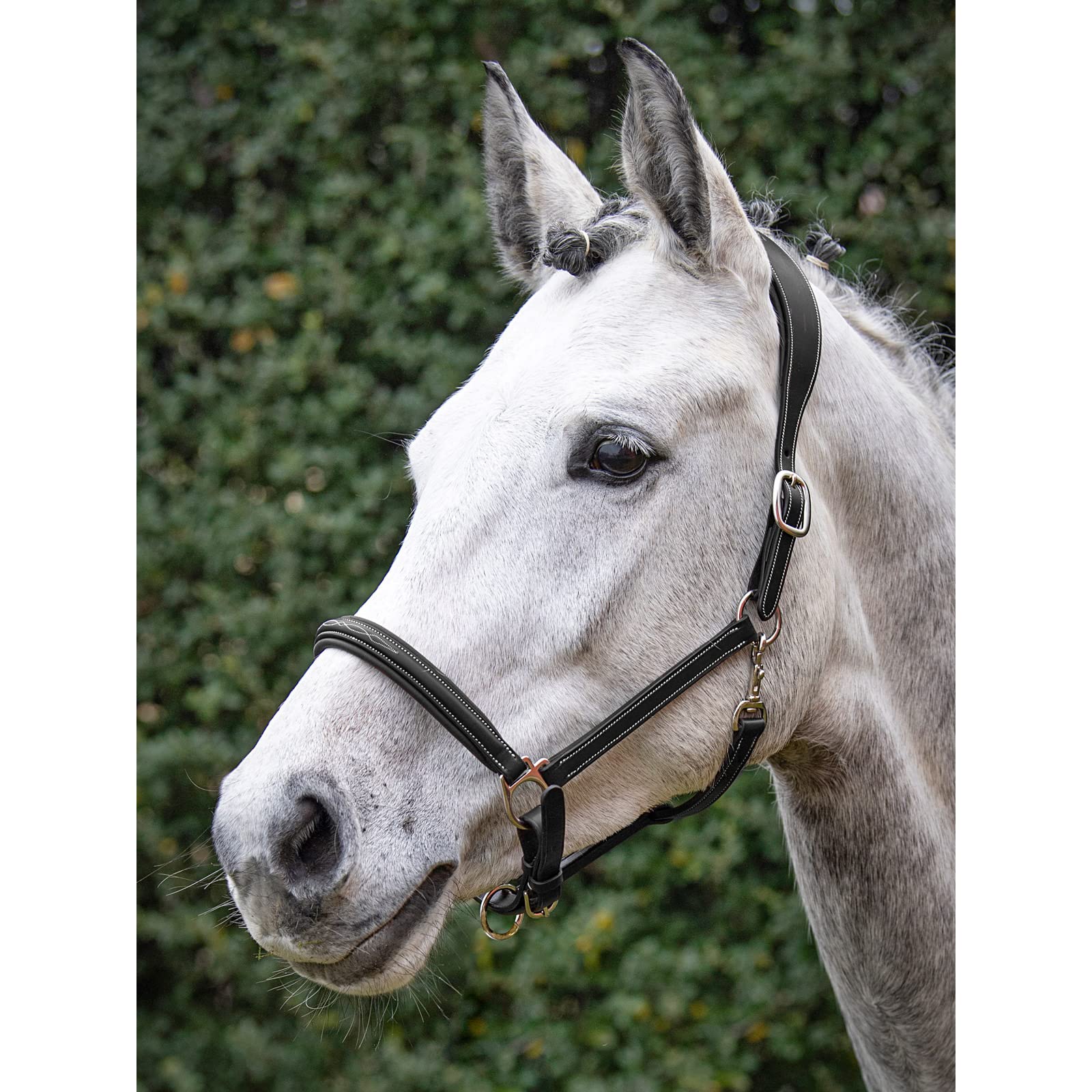 Equiline anat. Sicherheitshalfter WB Black
