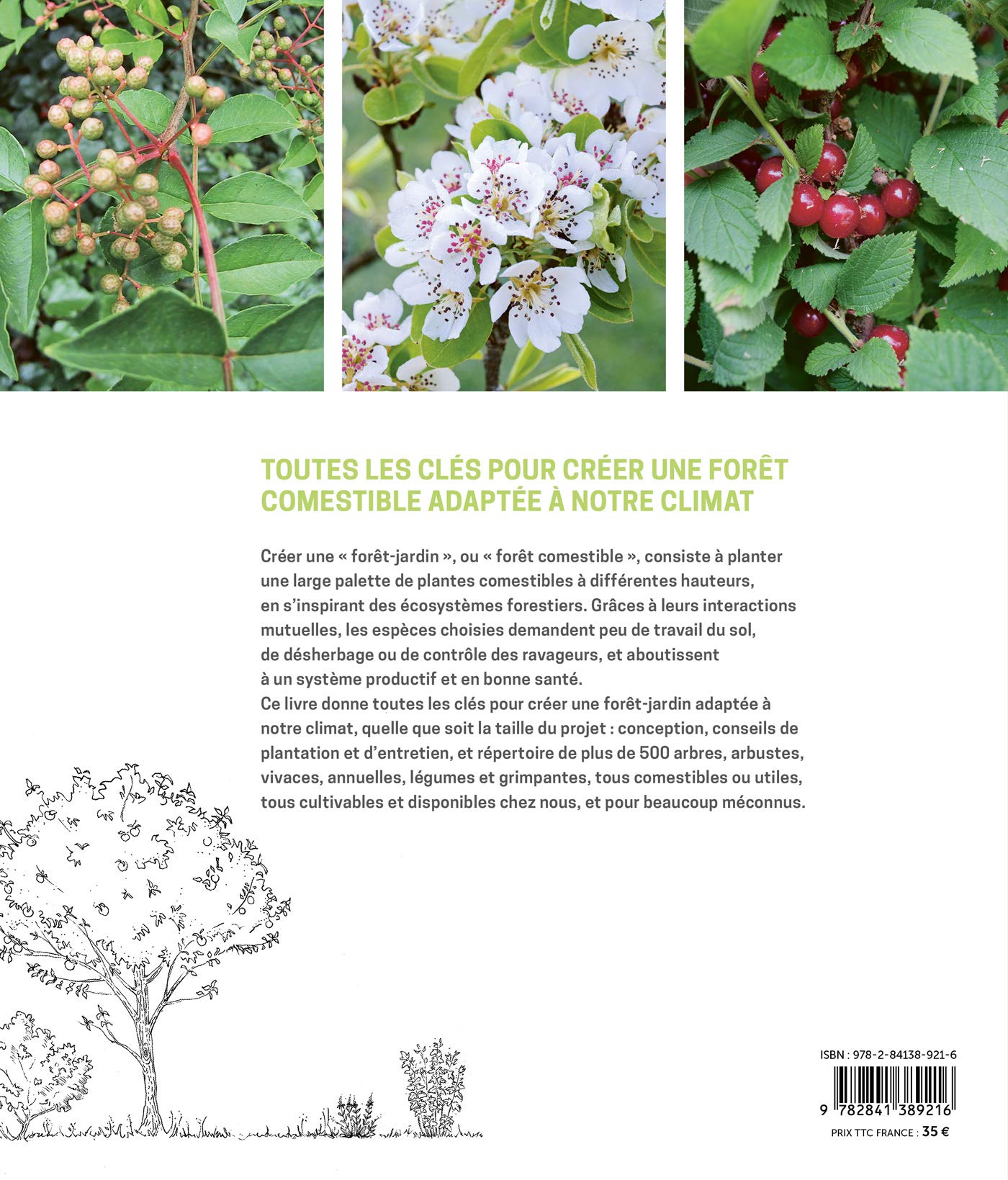 La forêt-jardin: Créer une forêt comestible en permaculture pour retrouver autonomie et abondance