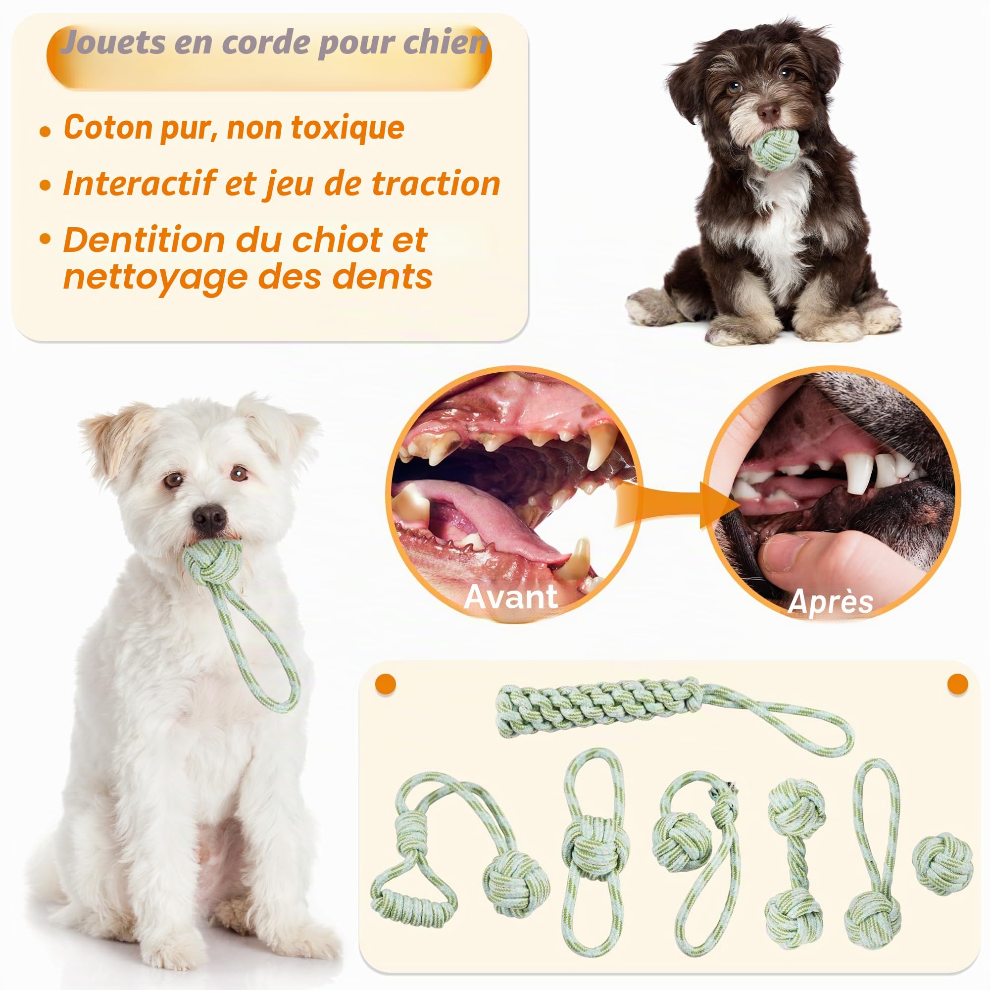 Lot de 24 Jouets pour Chiots, Jouets de Dentition pour Chiots avec boîte de Rangement, à mâcher pour Chiens et couinants pour Chiens de Petite et Moyenne Taille