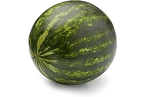 Bite-Sized Sweetness: Mini Seedless Watermelon