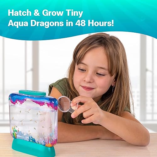 Miniatura 2 de Aqua Dragons Combo de huevos y comida - Recarga para tu propio tanque (paquete de 2)