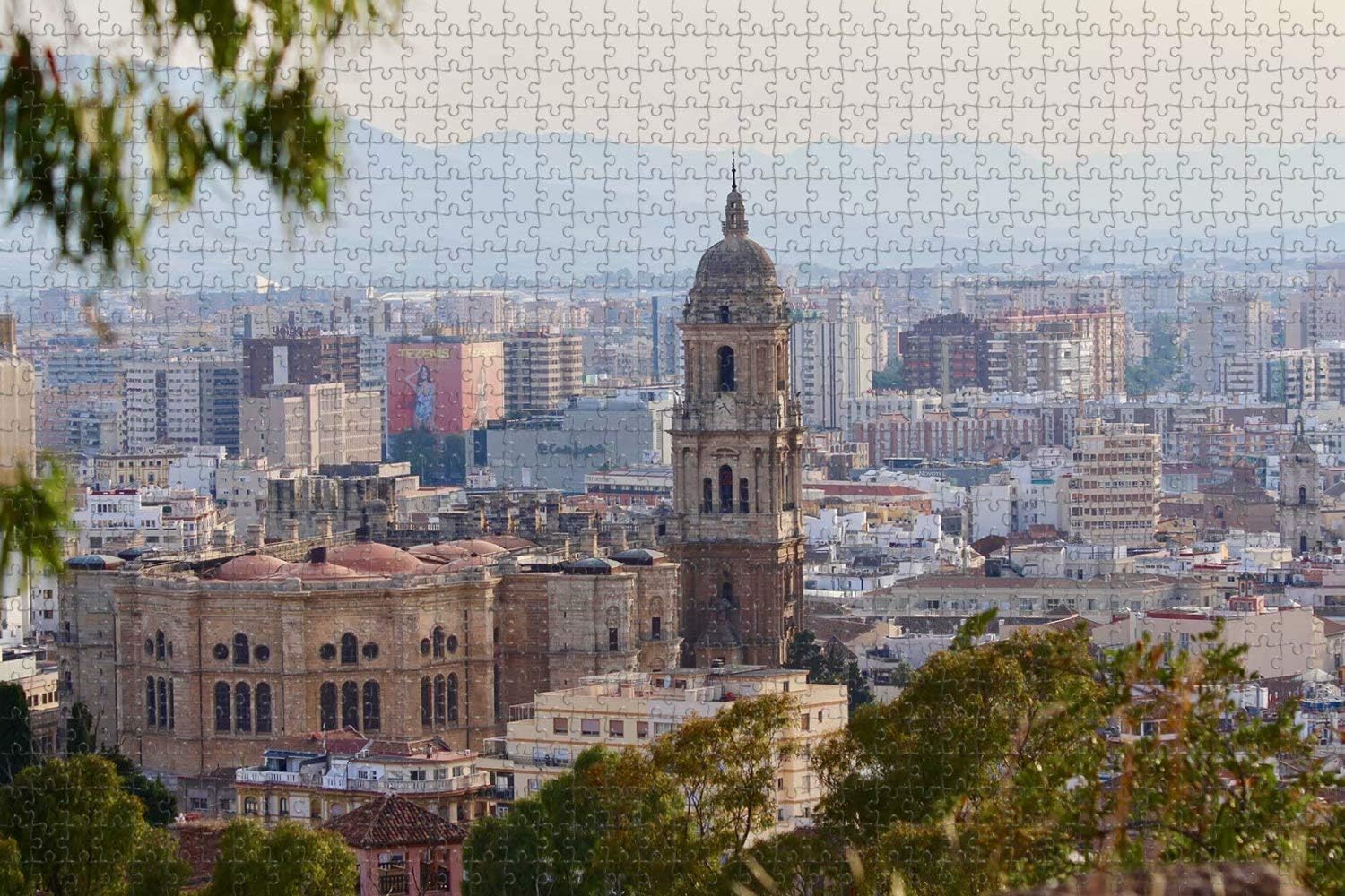 Jigsaw Puzzle for Adults Spain Malaga Cathedral Puzzle 1000 Piece Travel Souvenir