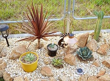 鳥海石ハート206キロ　庭石　鑑賞石　石　ガーデニング　ロックガーデン　サボテン 鳥海石ハート206キロ 庭石鑑賞石盆石水石灯籠庭坪庭盆栽ガーデニング