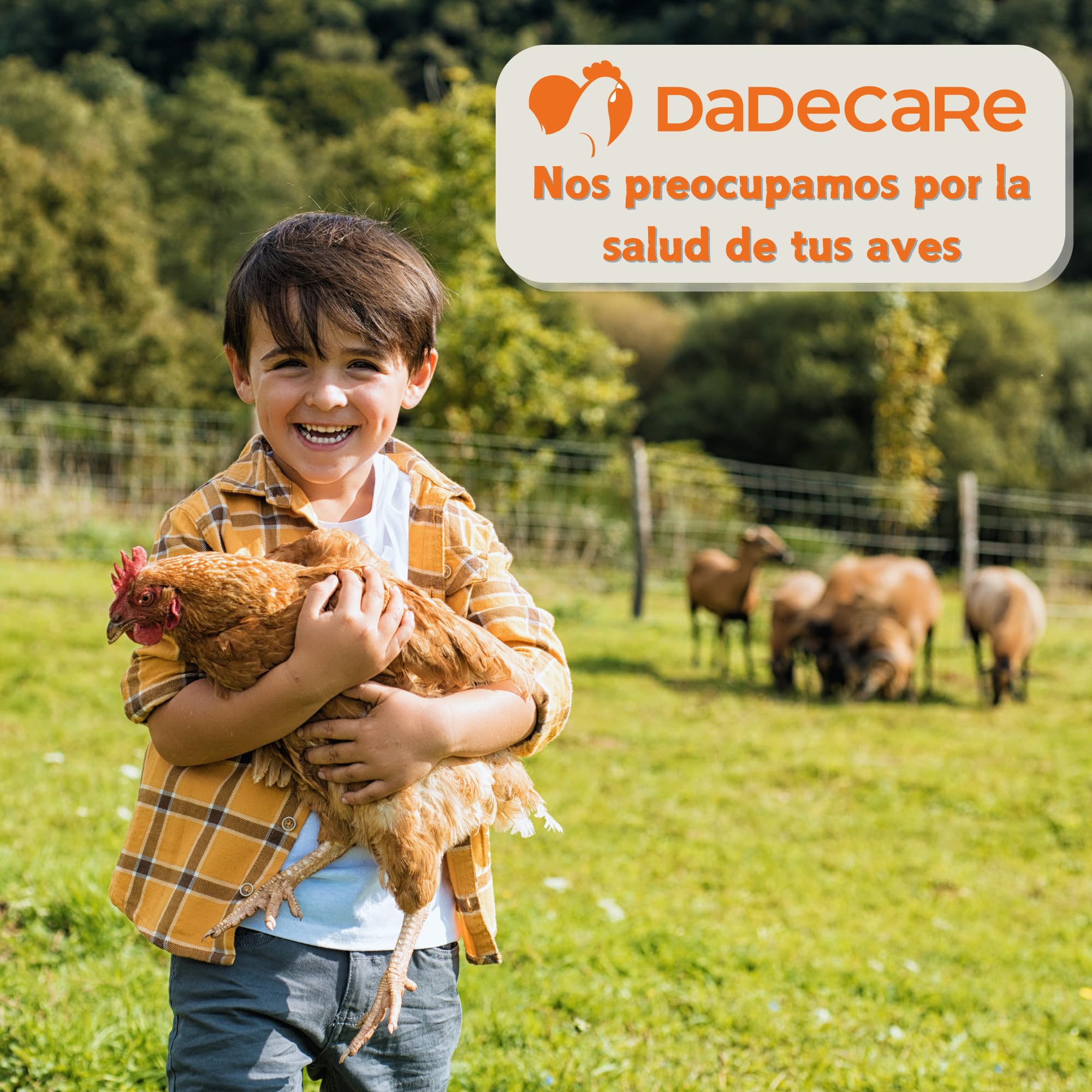 Promocare – Promotor Multivitamínico 1L para Aves de Corral y Ornamentales – Multivitamínico Aviar con Aminoácidos y Antioxidantes – Vitaminas para Aves en Solución Líquida