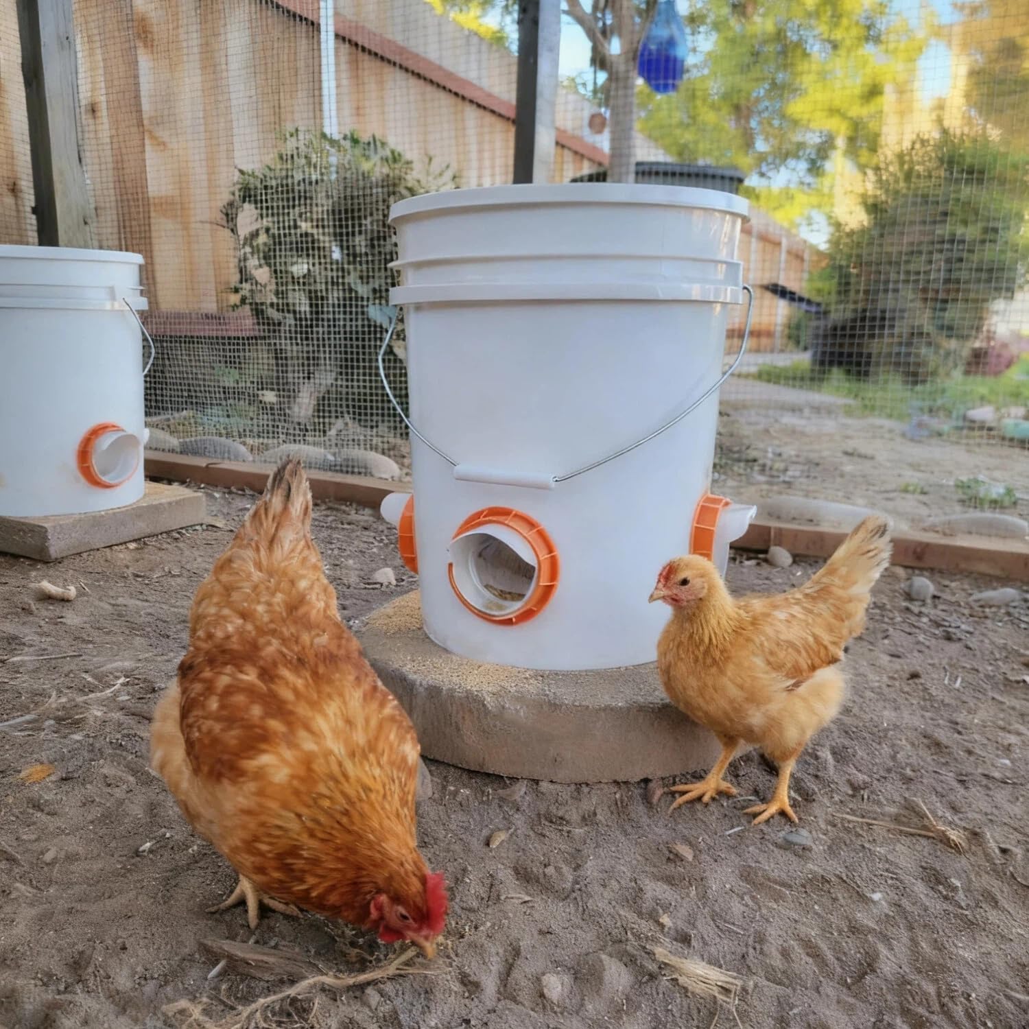 Chicken Feeder Port, 8 Pack Chicken Feeders No Waste with 8 Lids 1 Drill Bit, DIY Automatic Poultry Feeder Cups Kit, Chicken Bucket Feeder for Barrels (Orange)