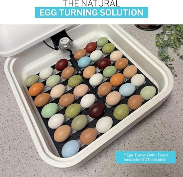 IncuTurnTM Automatic Egg Turner for HovaBator Incubators, Egg Turner Tray