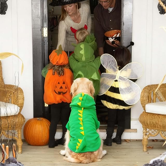 Foto 3 de 8 de Divertida chaqueta de disfraz de dinosaurio para perro grande y grande
