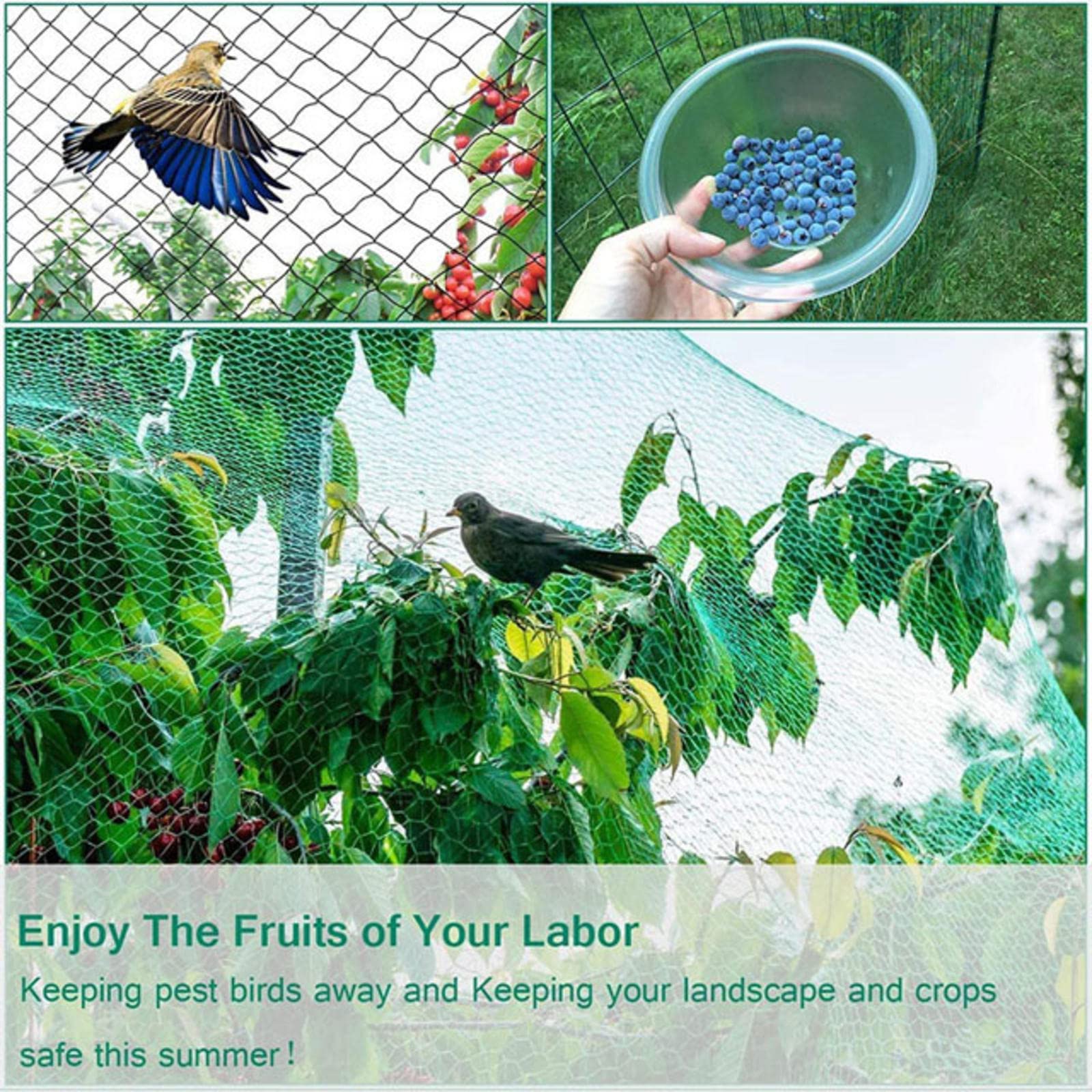 Filet Anti Oiseaux pour Potager Filets pour Jardin Filet en Maille Tissée Très Résistant, Réutilisable,6x10m