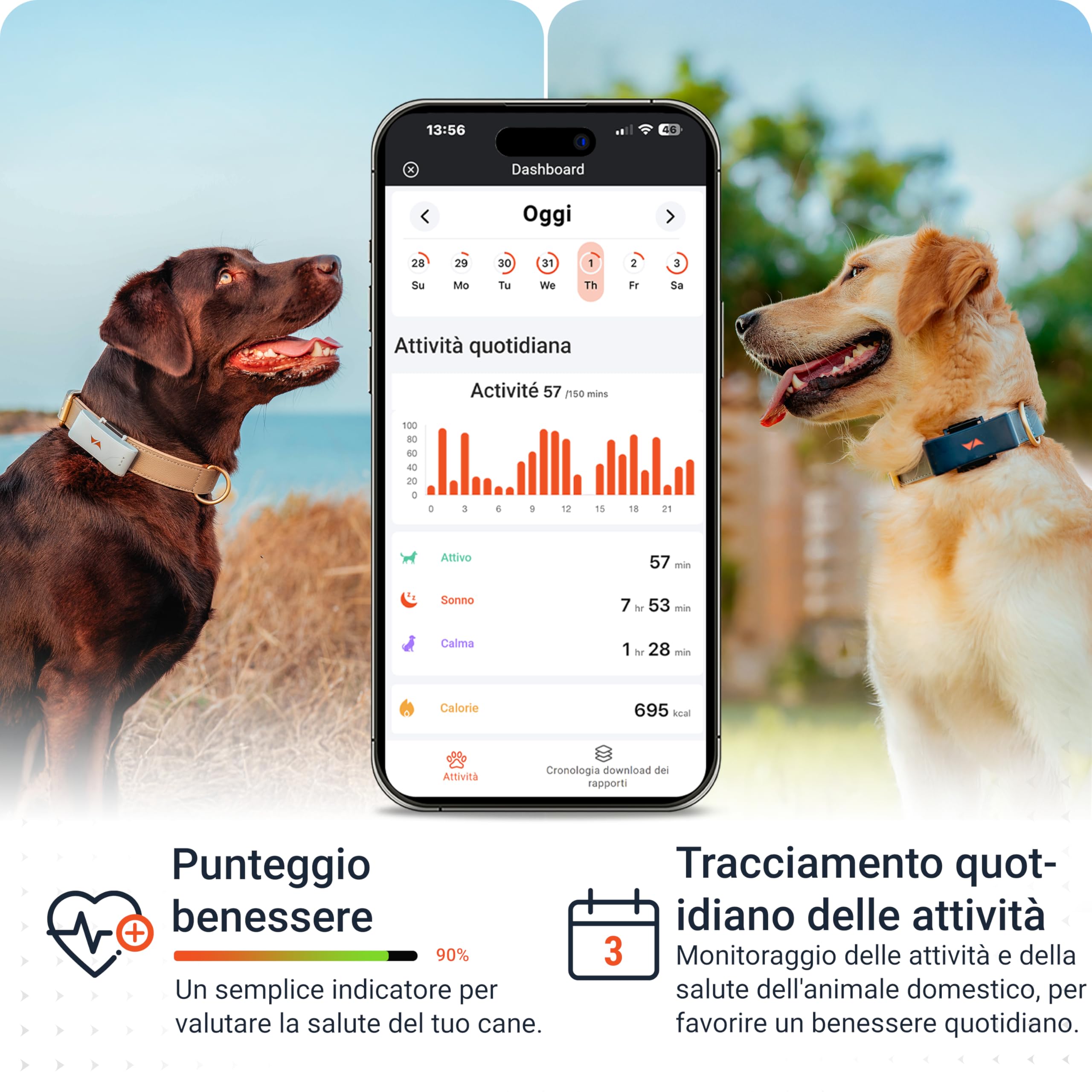 PAJ GPS – Collare LED Luminoso + GPS Tracker per Cani, 3 Mesi Abbonamento Premium Incluso + Visibilità Notturna, Mini GPS Tracker 4G per Cani, Allarme Anti-Fuga, 100% Impermeabile, Nero