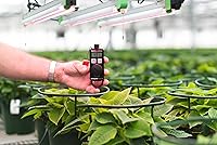 Vista 6 de El medidor SpotOn Scientific Quantum PAR+DLI muestra niveles de luz fotosintética en tiempo real. El modo DLI muestra un promedio de 24 HR PPFD.