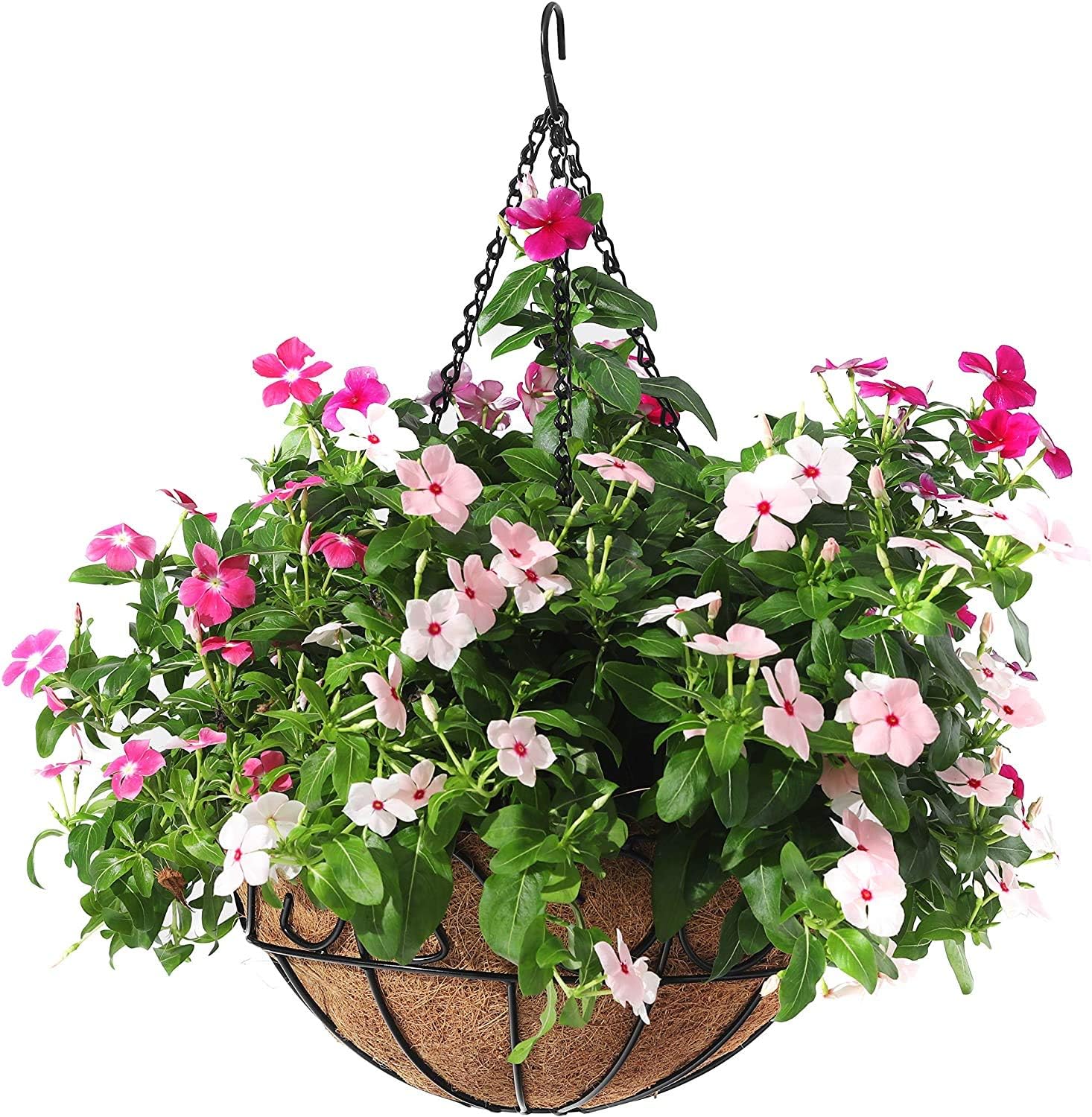 CABASAA 2 Pack Metal Hanging Planter Basket with Coco Coir Liner Chain Round Wire Plant Holder Flower Pots Hanger Garden Decoration Porch Decor Watering Hanging Baskets Indoor Outdoor (10INC set of 2)