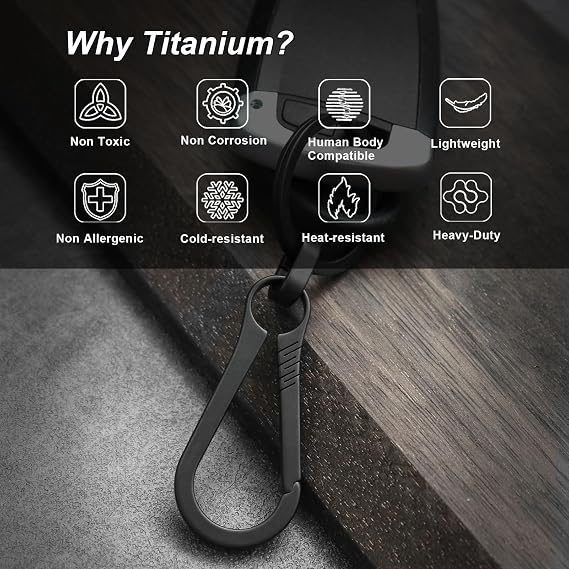 PJYTAC Key Clip Carabiner Keychain Small Titanium