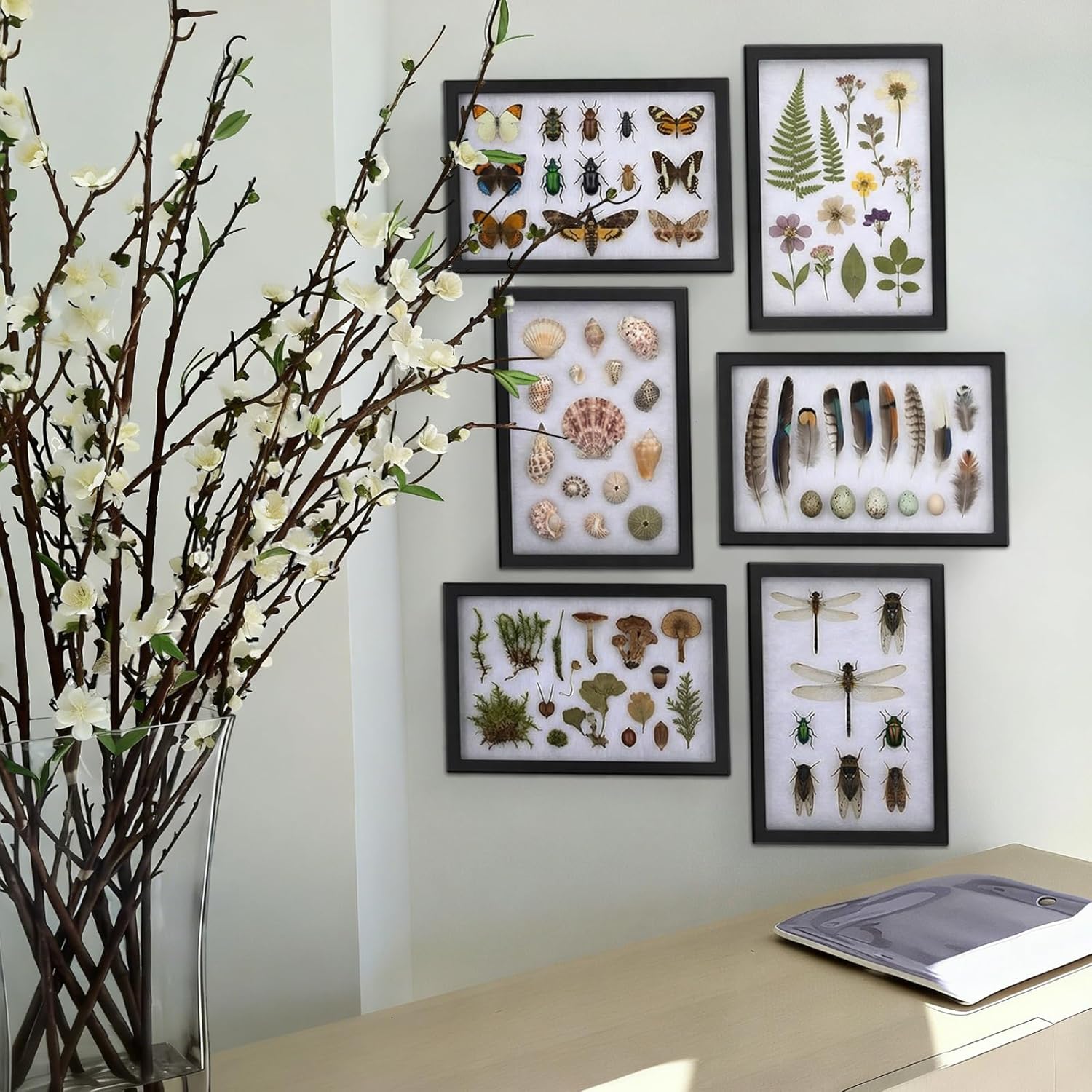 3 Pack 12 x 16 x 3/4 Inch Glass Top Riker Display Cases PU Leather Large Collectibles Display Cases for Collectibles Jewelry Pins Medals