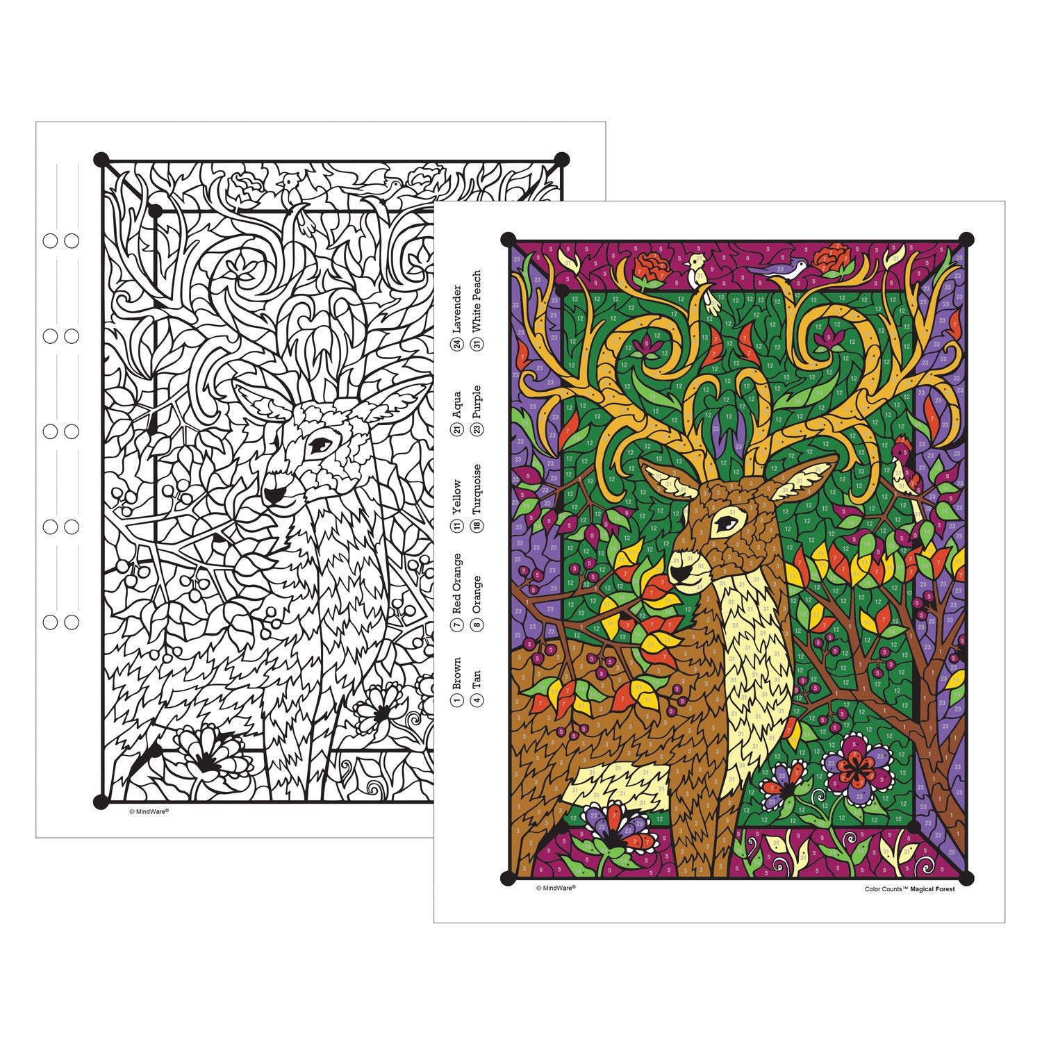 Color Counts Coloring Pages