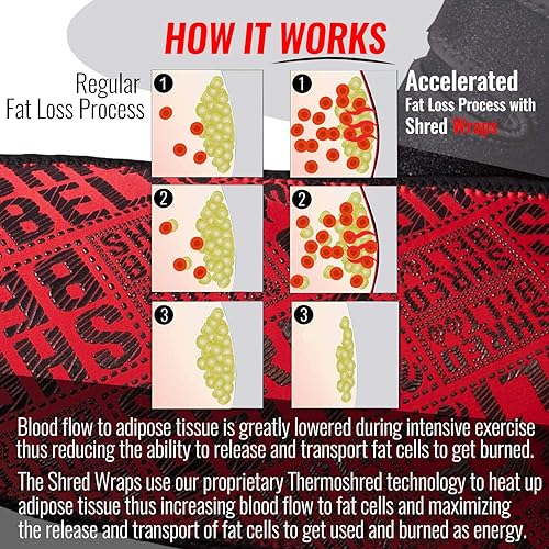 Miniatura 2 de Iron Bull Strength Shred Wraps para piernas  Recortadores termogénicos de muslos para pérdida de peso  Bandas de quema de grasa premium con