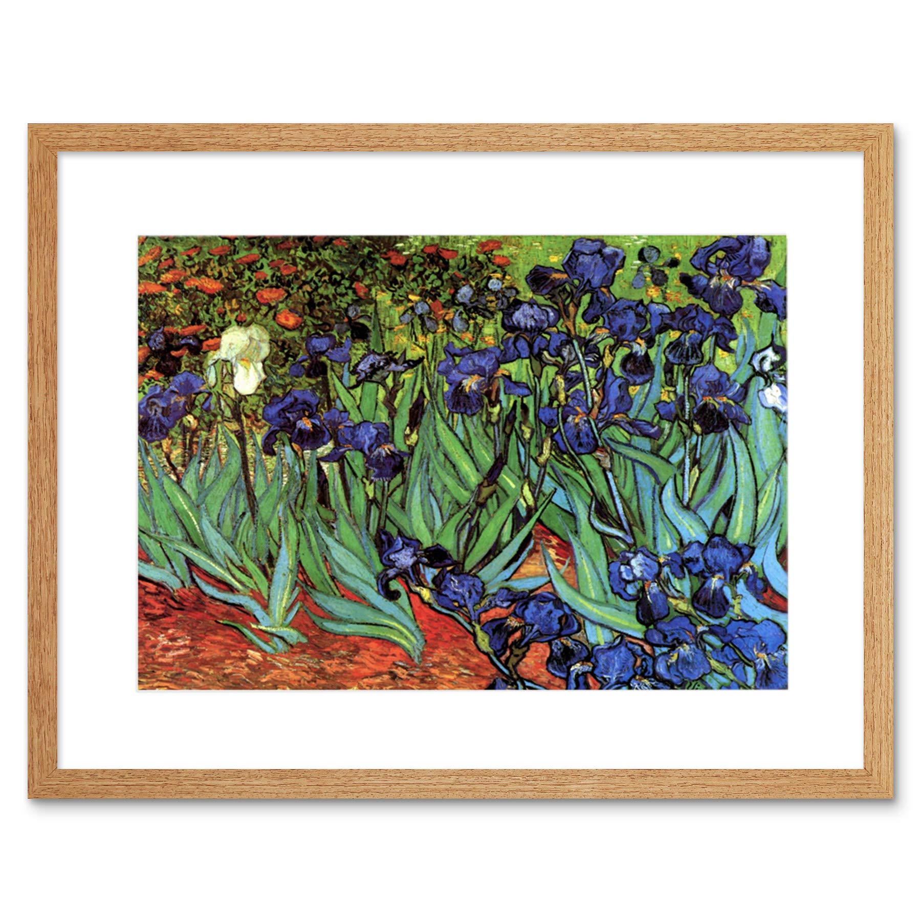 Wee Blue Coo Van Gogh Irises Old Master Picture Framed Wall Art Print