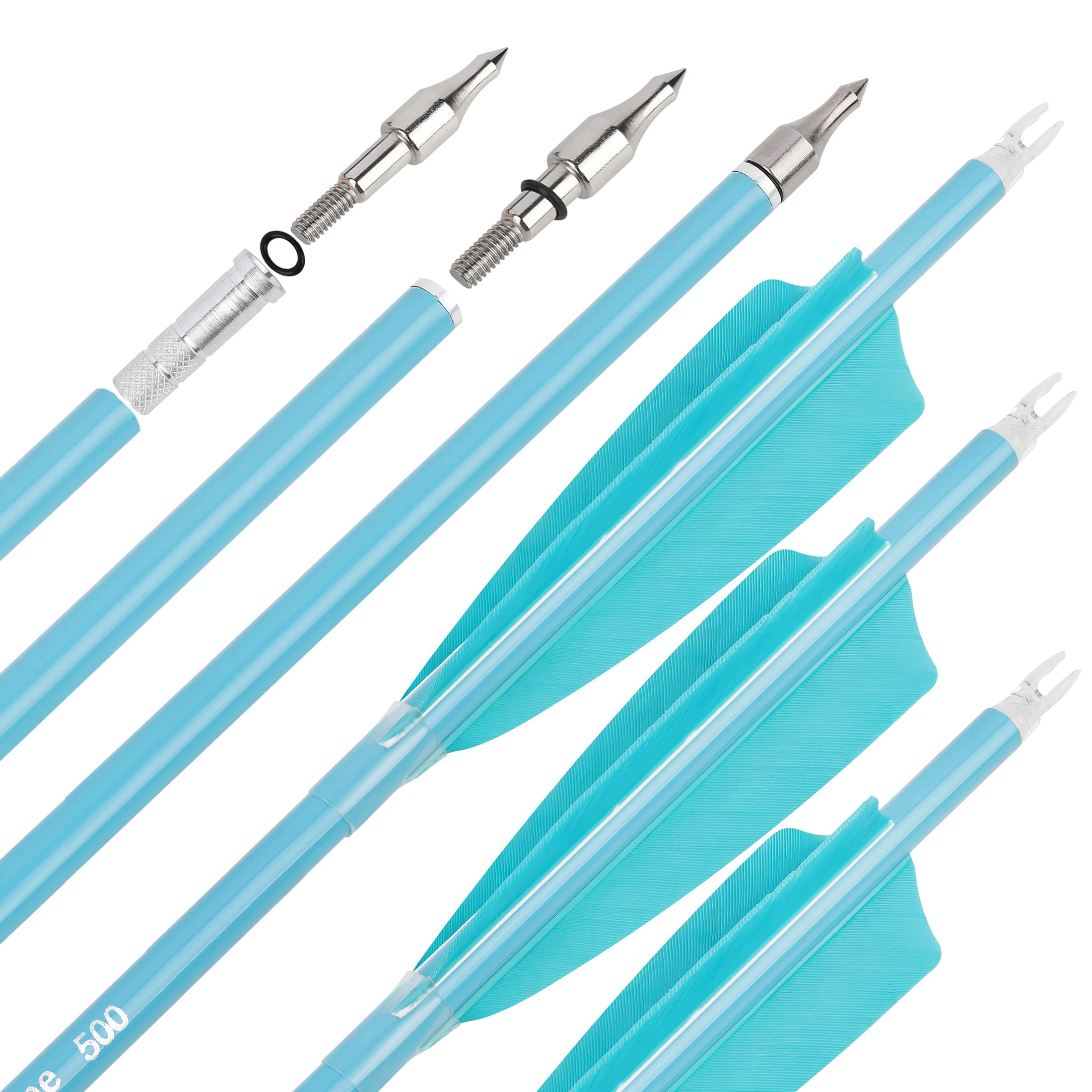 31" Carbon Arrows Fluorescence Color Archery Hunting Arrows 500 600 Spine with Feather Fletched Target Practice Arrows for Archery Compound & Recurve & Long Bow 6/12pcs