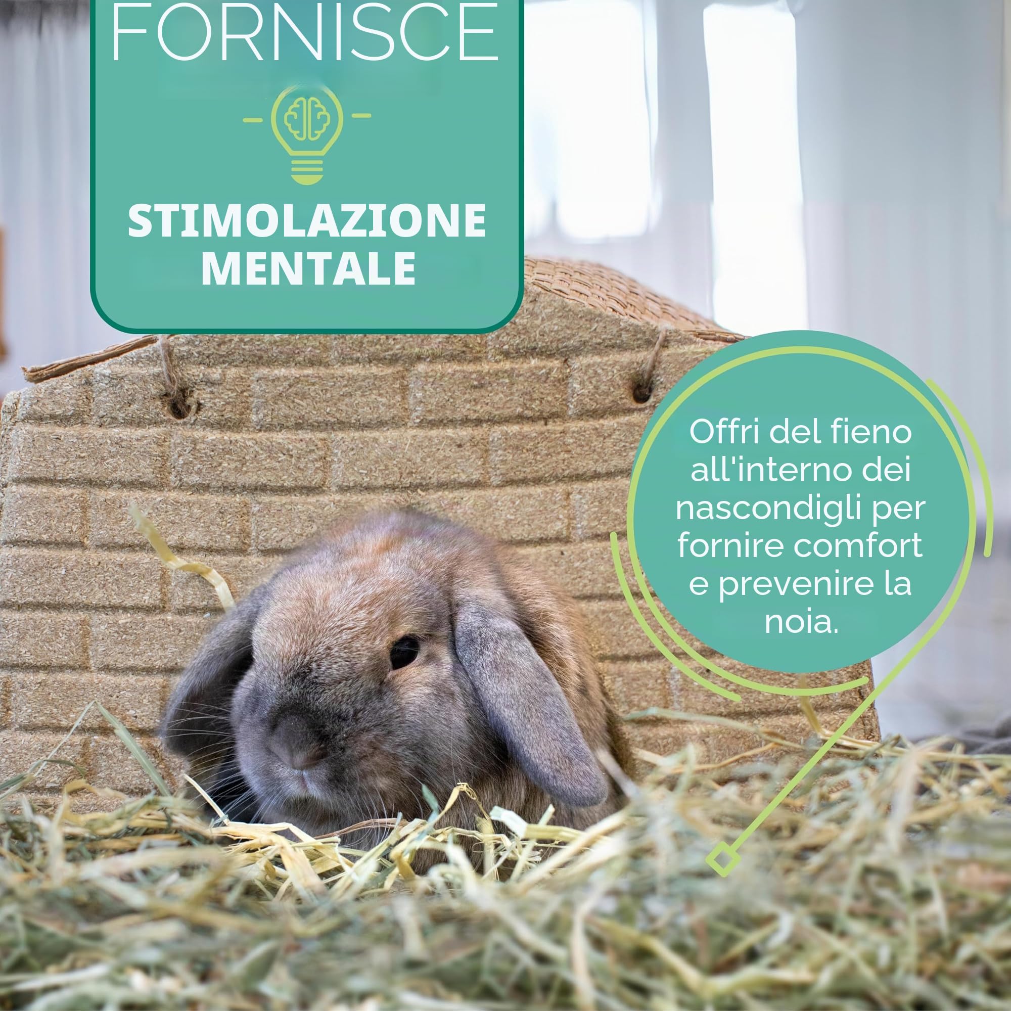 Oxbow Orchard Grass - Fieno per piccoli animali, 1130 gr