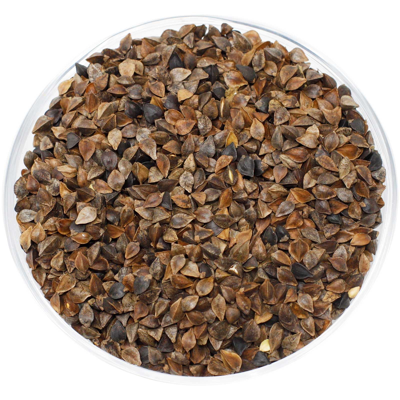 Leimüller Sarrasin Non décortiqué 25 kg – graines perroquets Pigeons Oiseaux