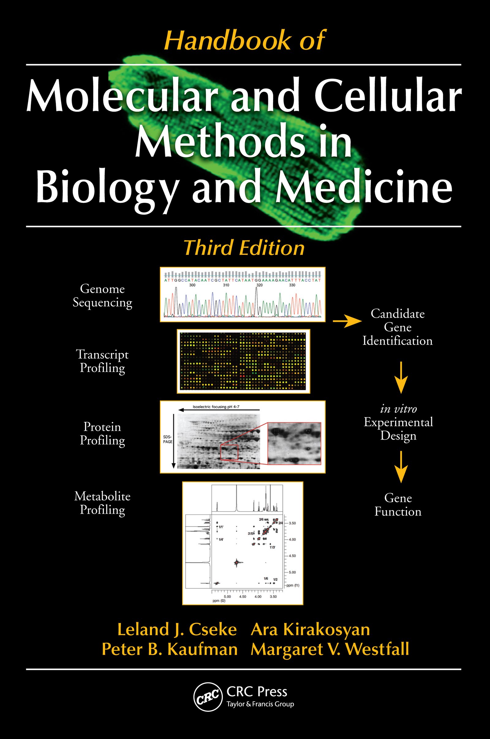 Handbook of Molecular and Cellular Methods in Biology and Medicine (English Edition)