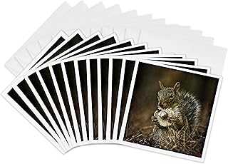 3dRose Greeting Cards - Squirrel Eating Mushroom - 12 Pack - Animals