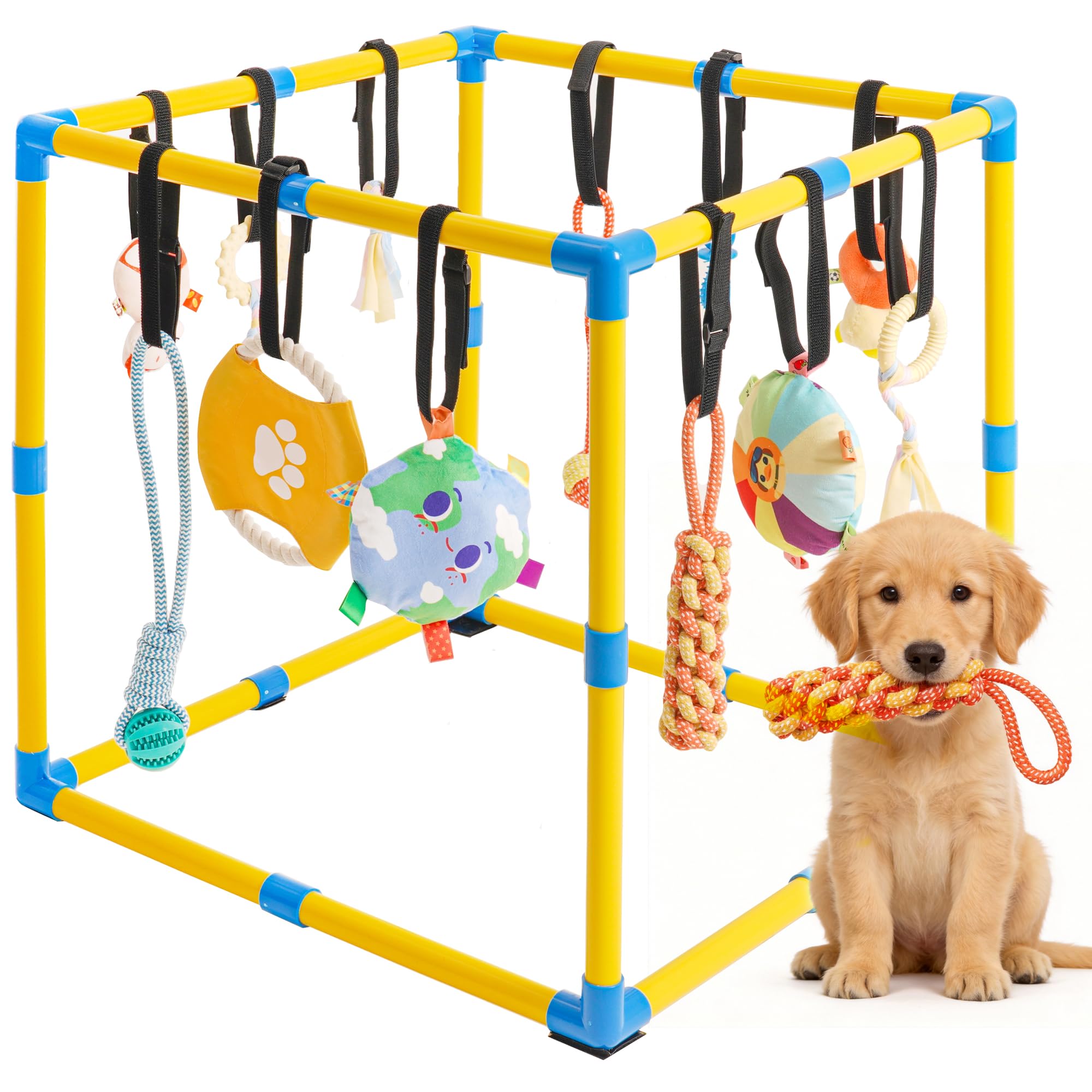 Grevigily Puppy Play Gym for Small Dogs, 60cmx 60cm Large Indoor Dog Jungle Gym with 12 Hanging Toys& Non-Slip Pads, Adjustable PVC Frame, Enrichment & Training Activity Center