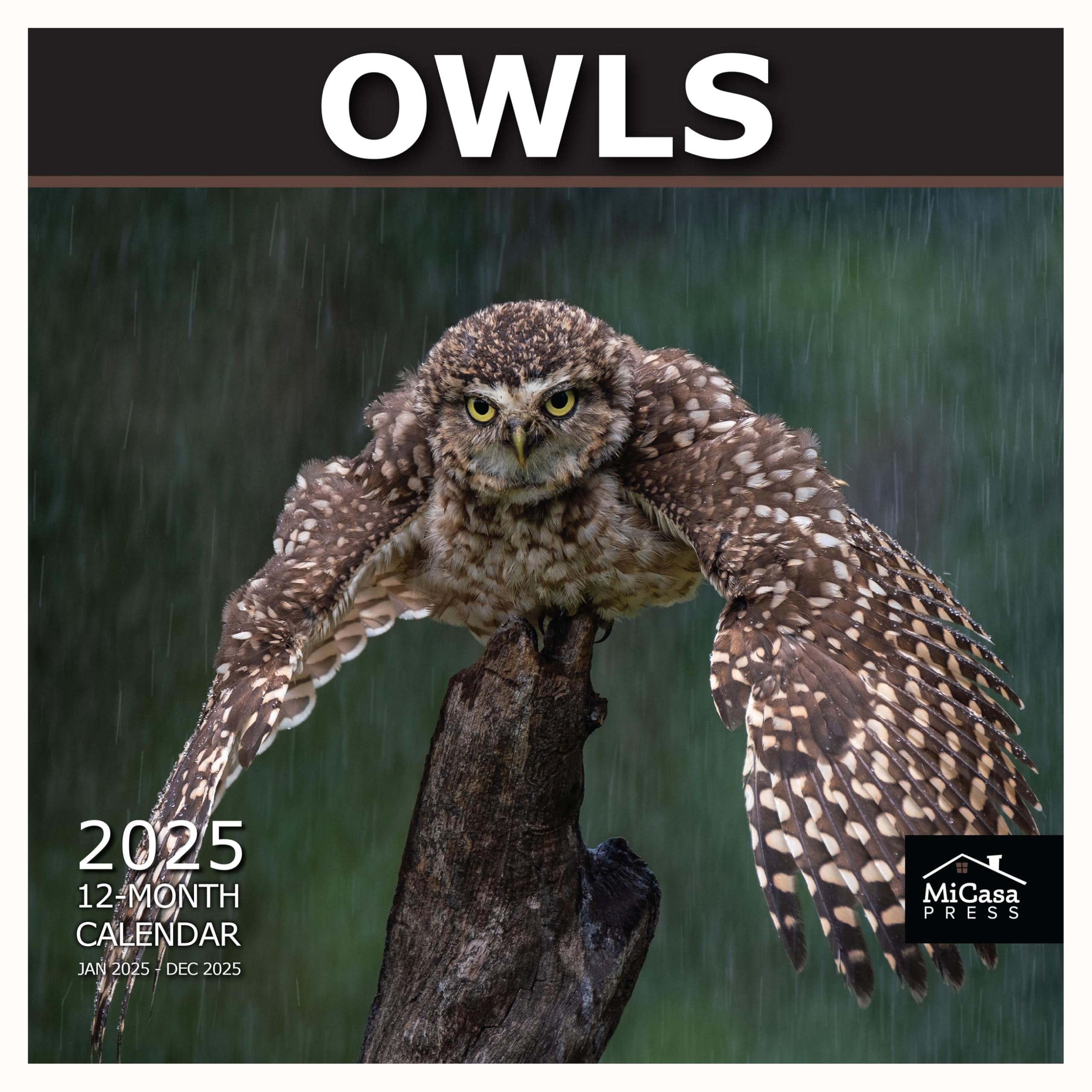 MICASA PRESS - Owls 2025 Wall Calendar 12 Month | 12" x 24" Open | Thick & Sturdy Paper | Giftable | Calendar 2025
