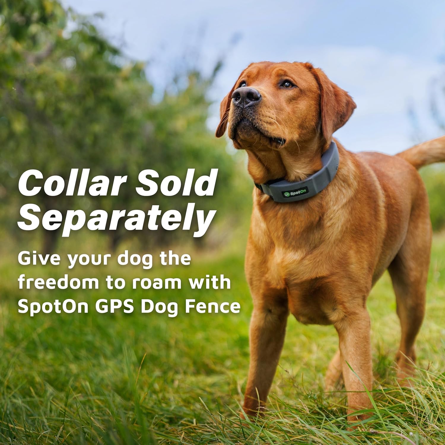 SpotOn GPS Dog Fence Charging Kit, Portable Charger for Wireless Dog Fence & GPS Tracker, Extended Battery Life Mode, Includes Collar Cradle, Plug & Cable, Collar Sold Separately