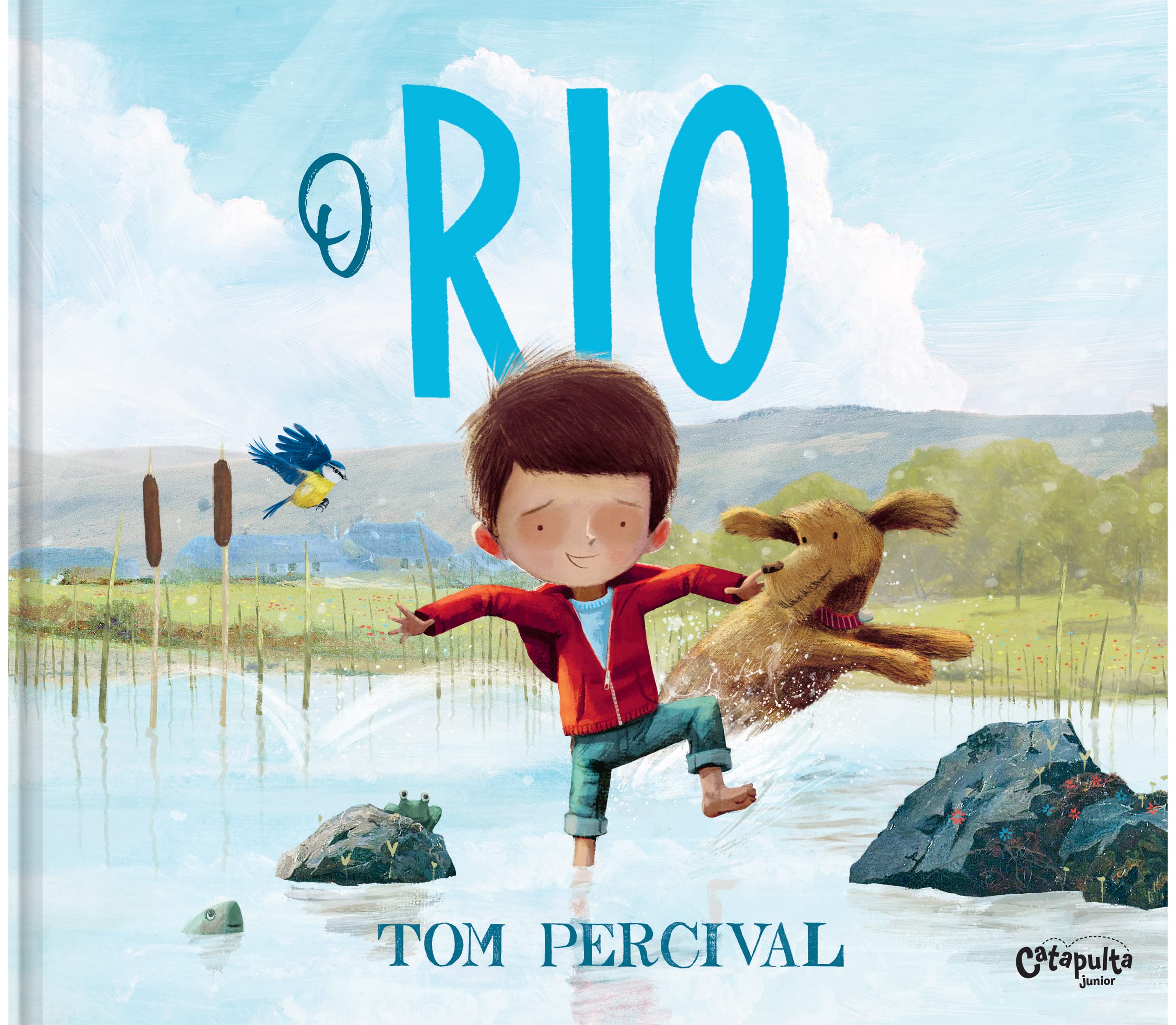 O Rio | Amazon.com.br