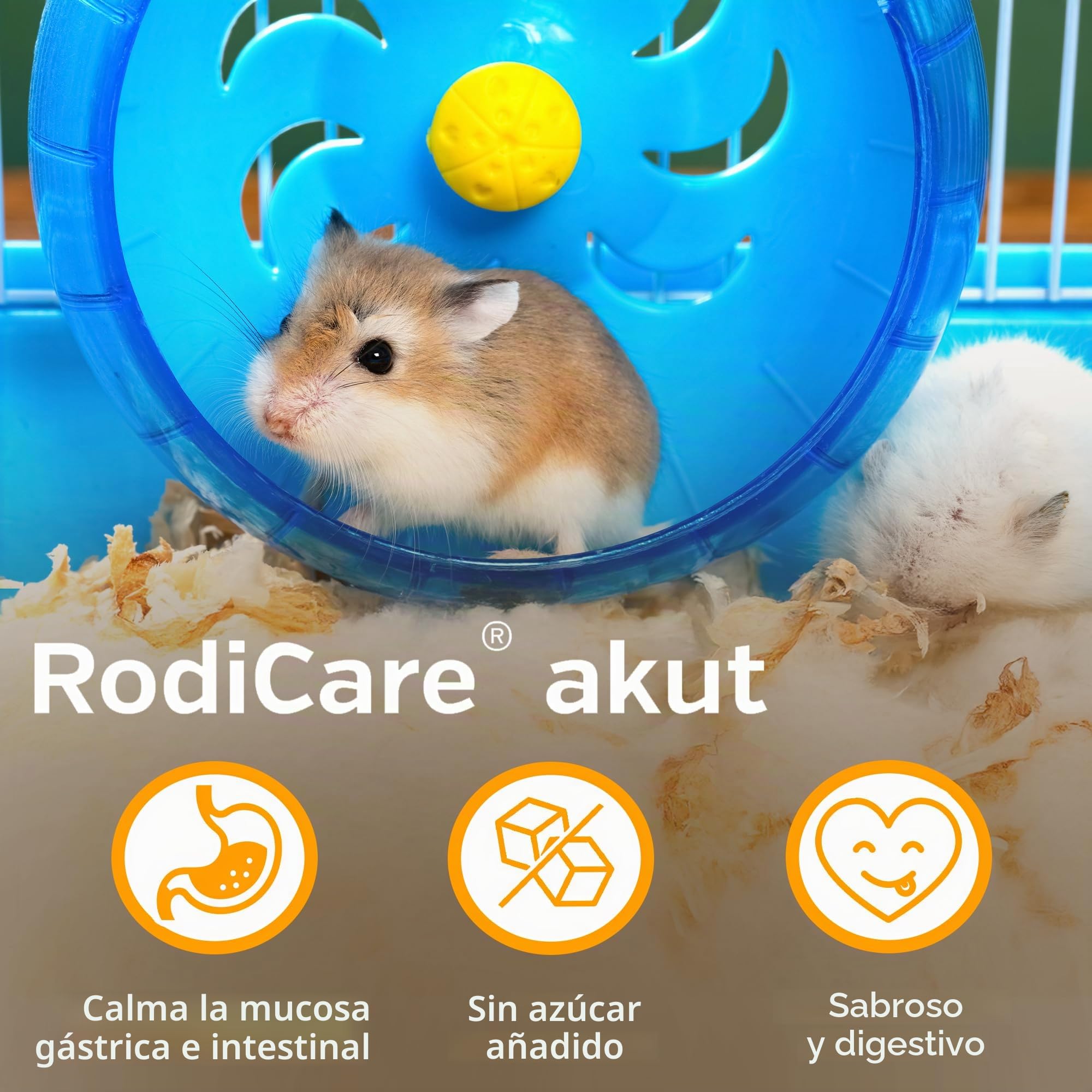 Alfavet RodiCare akut - 15 ml - Suplemento alimenticio para Regular la digestión en Conejos, cobayas y pequeños roedores - con jeringa dosificadora