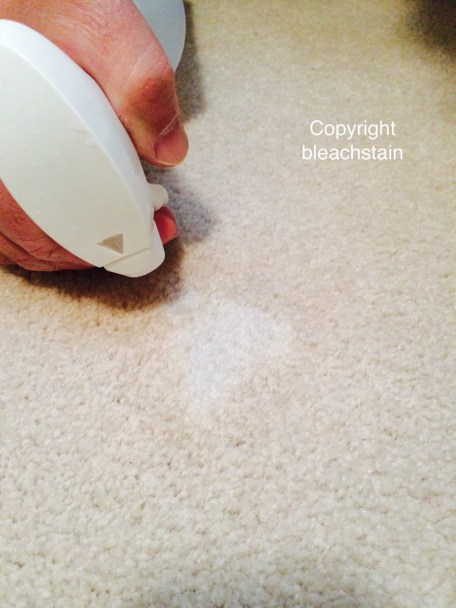 Professional RESOLVE® Carpet Cleaner, 32oz Spray Bottles, 12/Carton