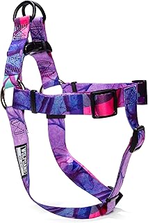Wolfgang Man & Beast Premium USA Webbing No-Pull Dog Harness for Small Medium Large Dogs, Daydream Print, Small (5/8 Inch ...