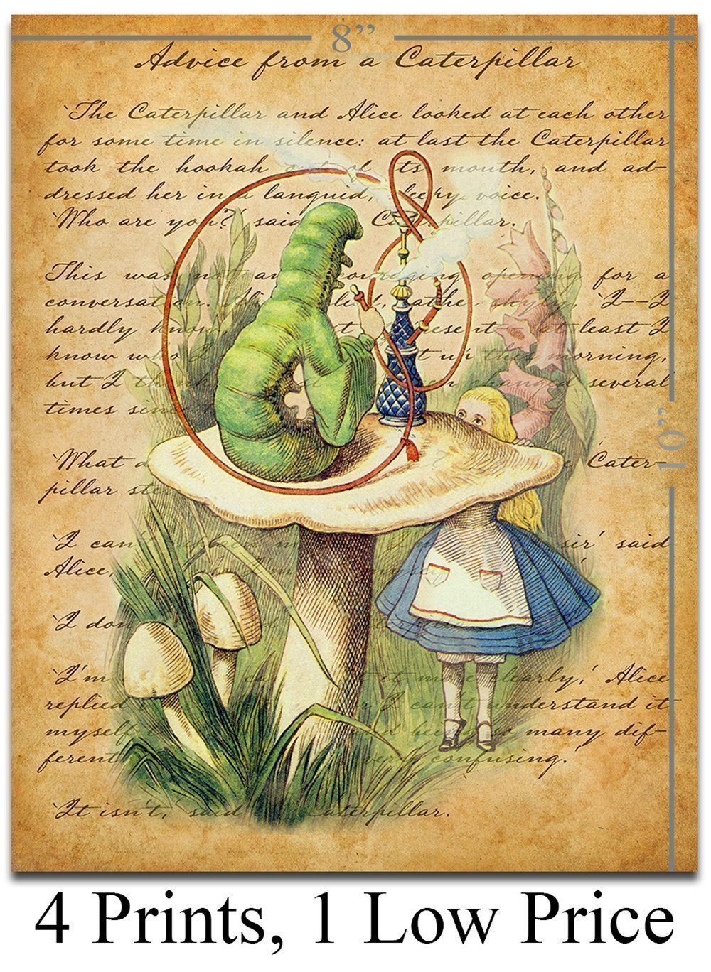 Amazon.com: Alice in Wonderland Decoration - 8x10 Prints Unframed