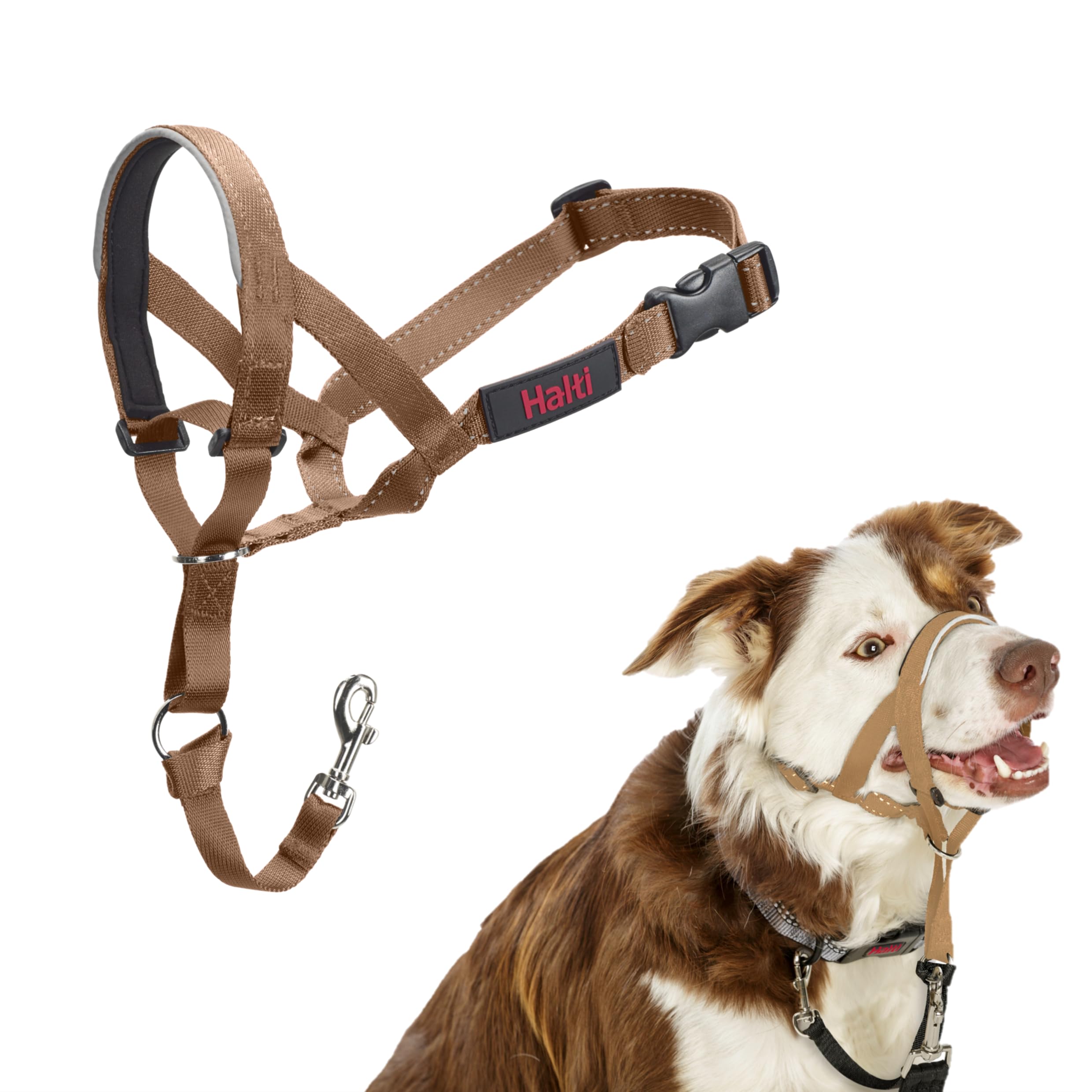Halti Headcollar for Dogs | Size 2, Desert Sand