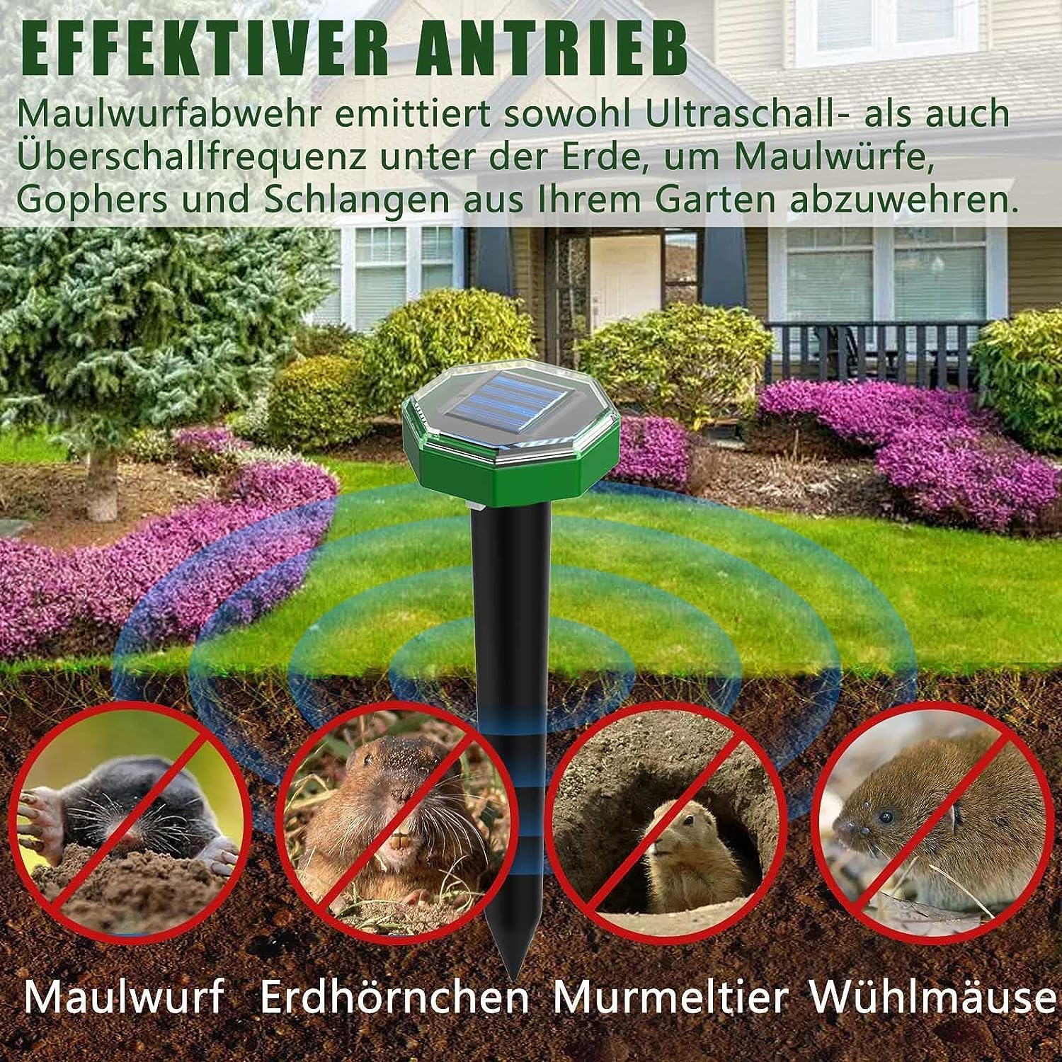 Ahuyentador de Topos Solar 8 Piezas, Anti Topos según la Norma IP65 y Aptos para su Uso en Exteriores para ahuyentar Topos