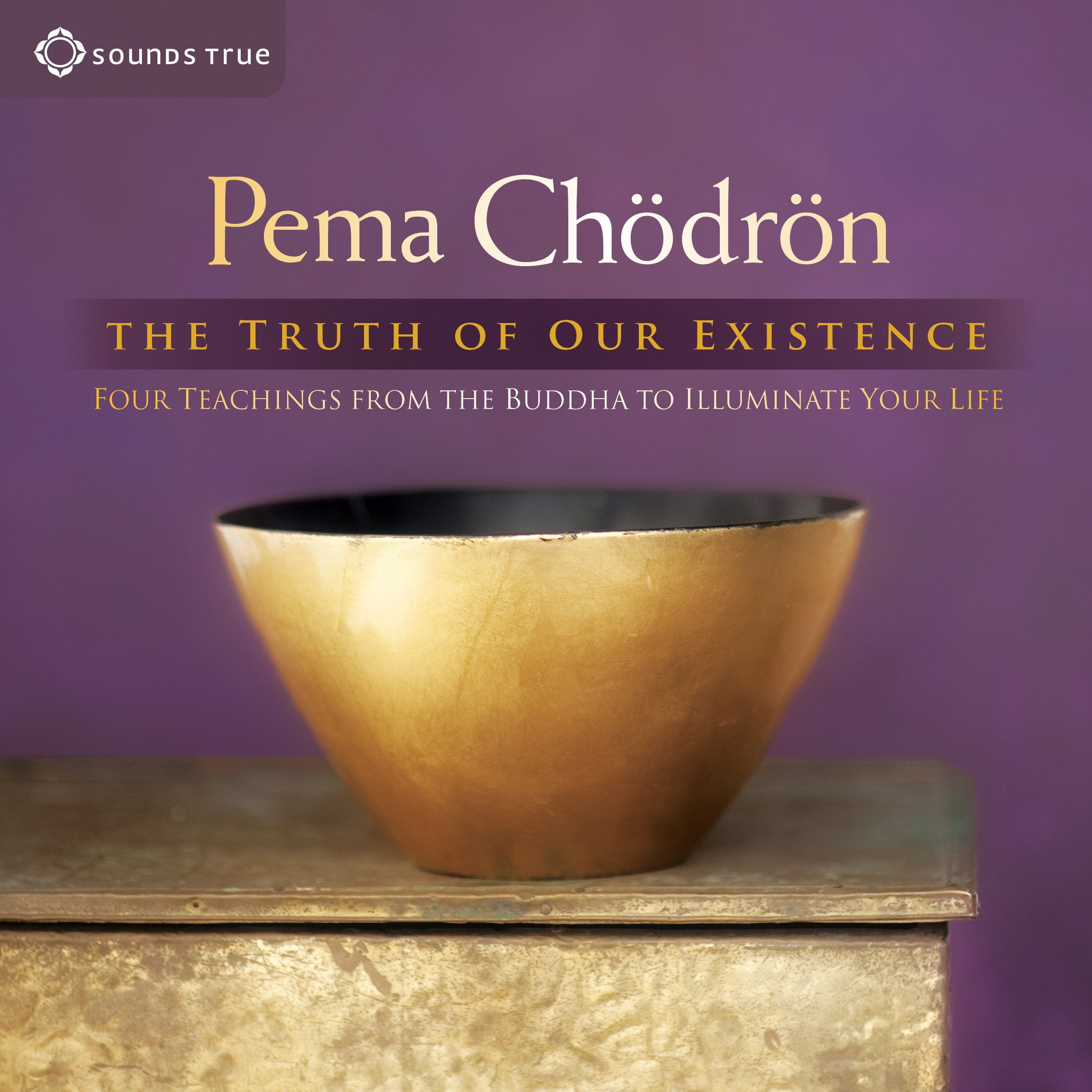 Cover art for The Truth of Our Existence