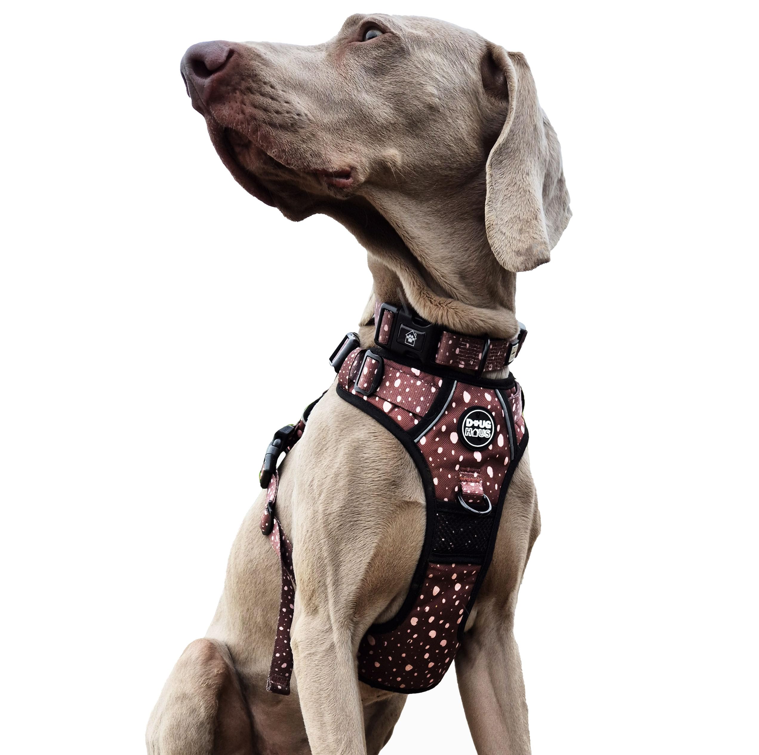 DOUG HAUS Dog Harness No Pull Adjustable Padded Reflective Stylish Small Medium Large X Large UK Based (Black, X Large)