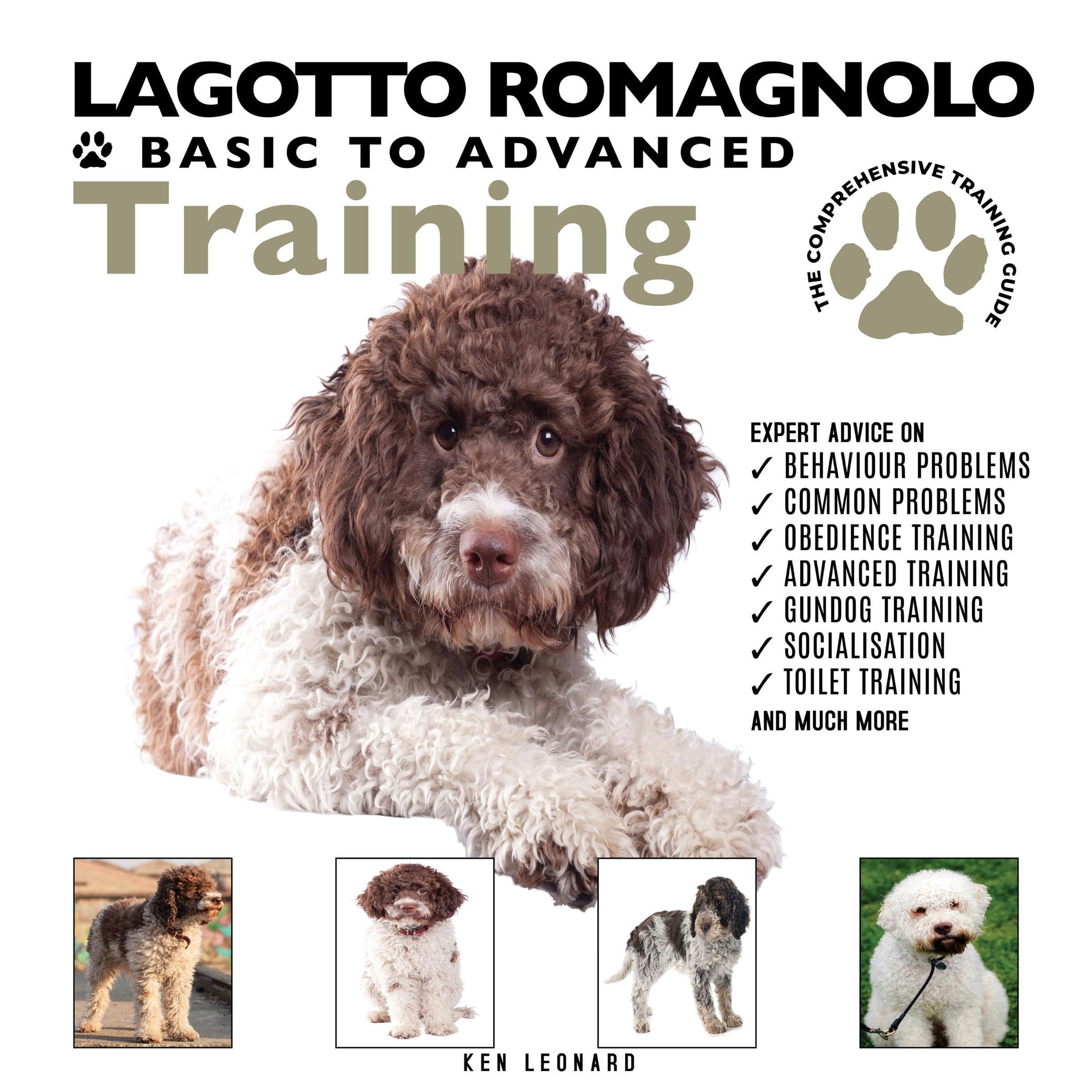 Lagotto Romagnolo