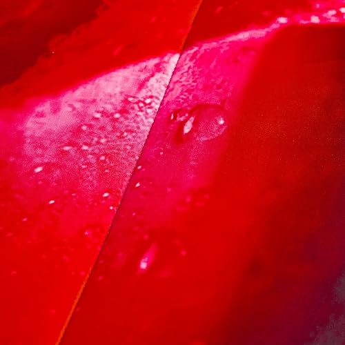 Miniatura 7 de WONGS BEDDING Juego de edredón rojo reversible con patrón de rosas rojas con 2 fundas de almohada para todas las estaciones, juego de cama ligero de