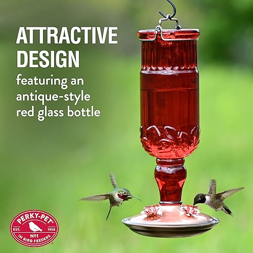 Miniatura 2 de Perky-Pet 8119-2 - Alimentador de colibrí con forma de botella estilo antiguo y de color rojo