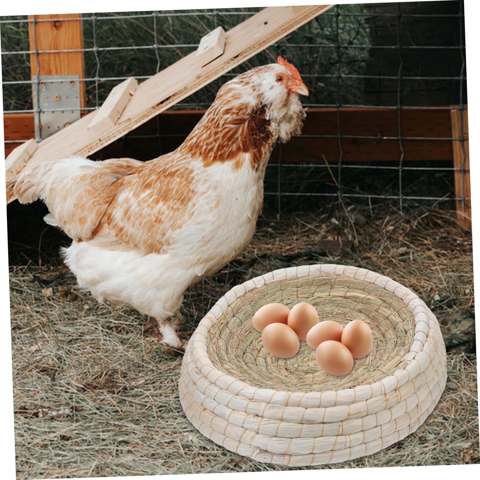 YARNOW Nido di pollame Casa per piccioni Cava per Uccelli Quaglia Gabbia per quaglie coop Nido di Allevamento di Uccelli Trasparente casa dell'uccello della Colomba Cannuccia Light Brown