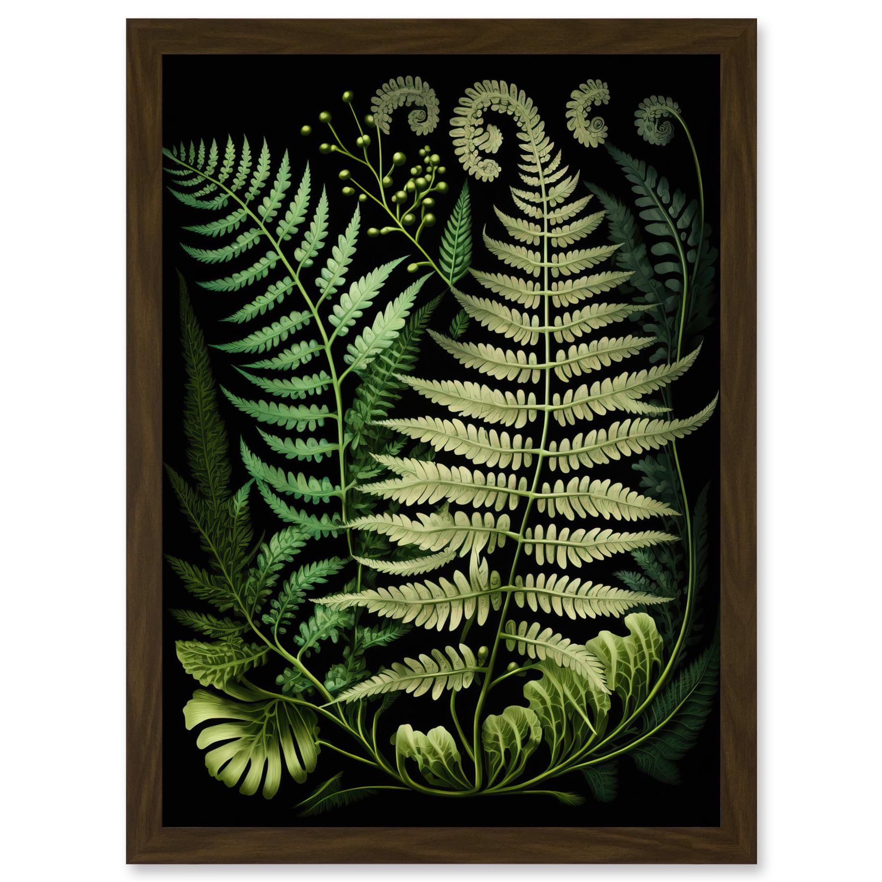 Artery8 Ernst Haeckel Style Fern Fronds Illustration Artwork Framed A3 Wall Art Print