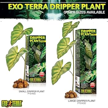 Exo Terra ドリッパープラント LARGE Exo Terra Dripper Plant, Large : Amazon.ca: Pet Supplies